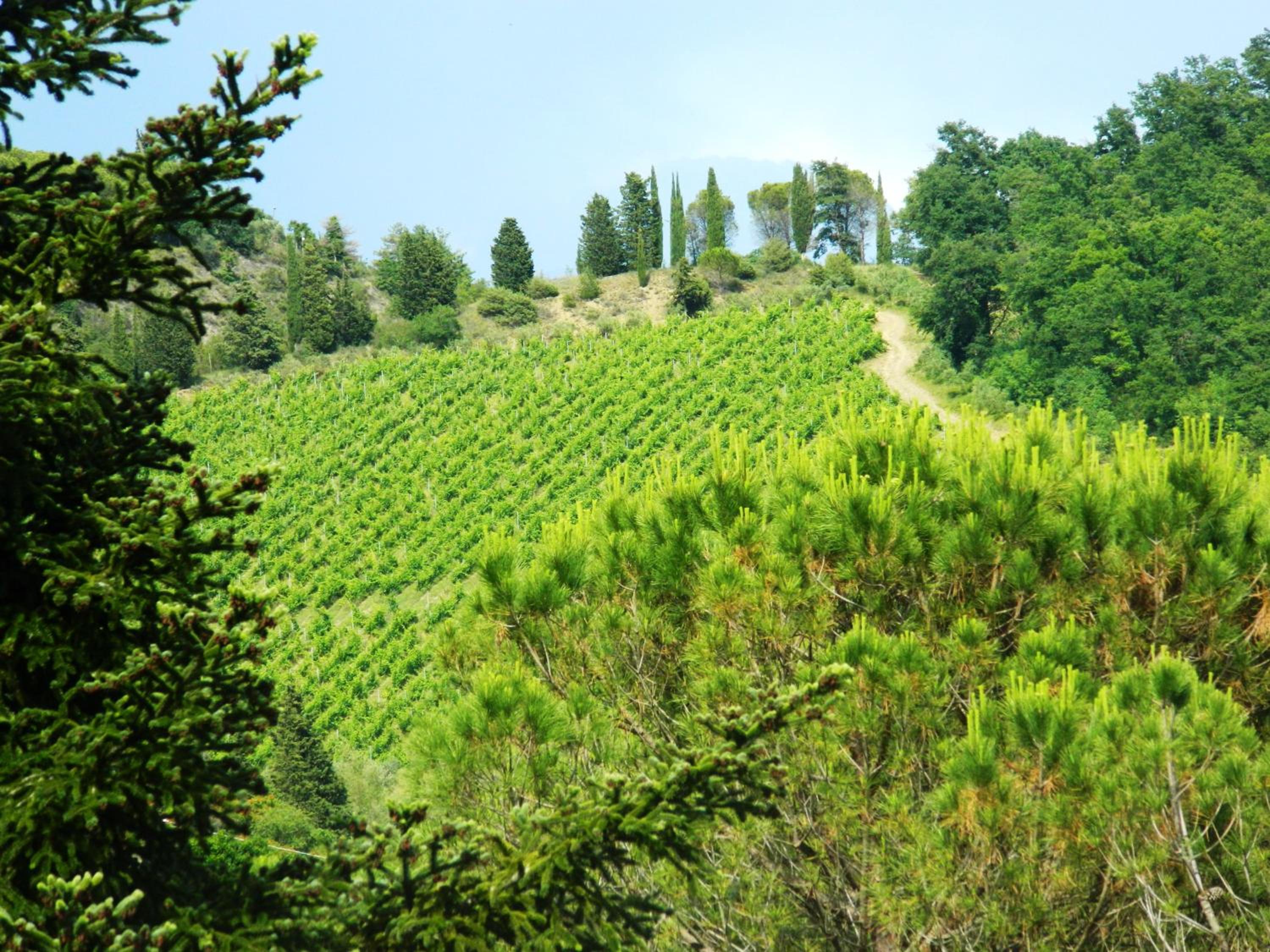 Il Poggetto Moon Light Home Stay photo 2