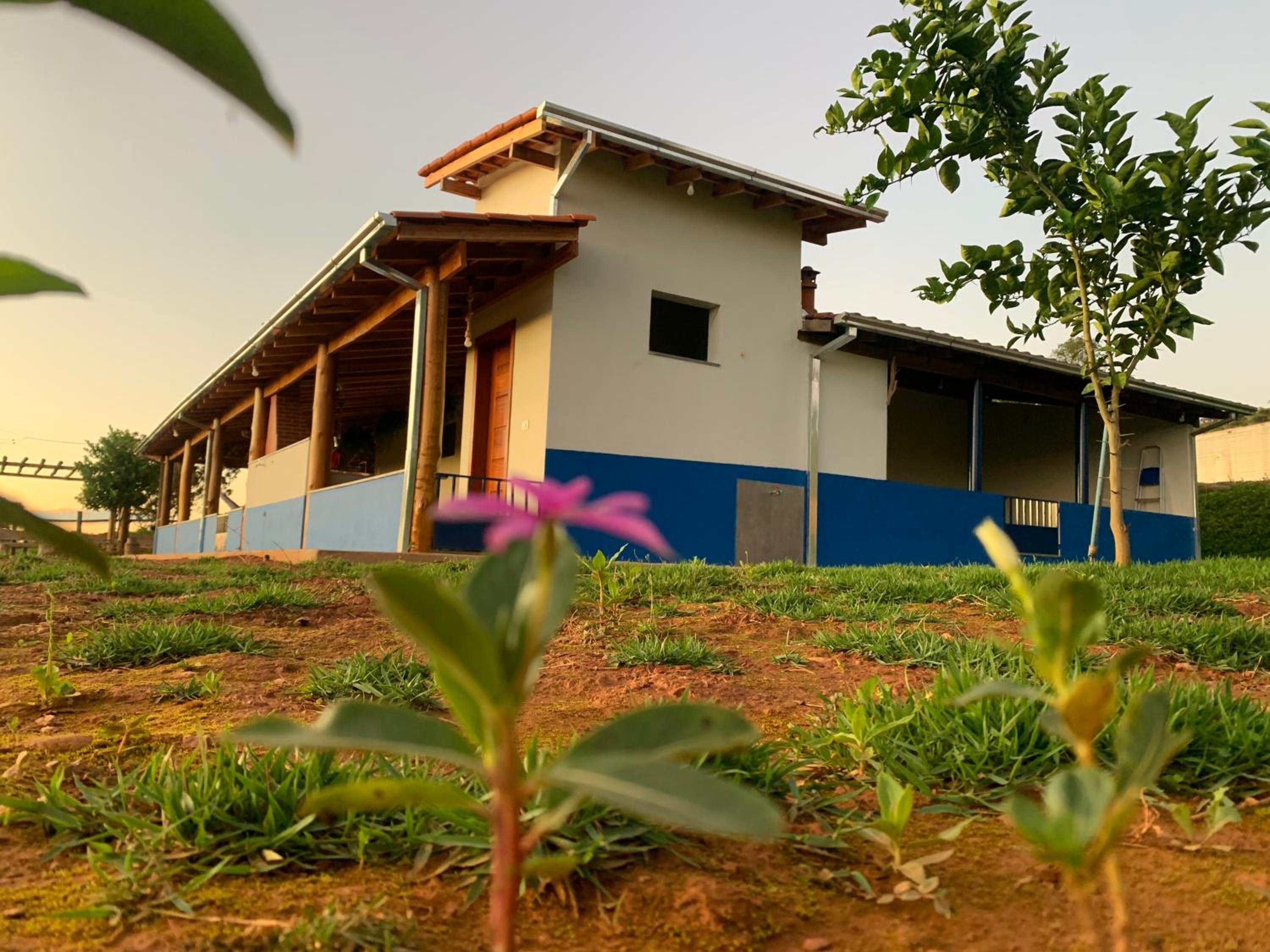 Casa de Campo - Luminárias MG