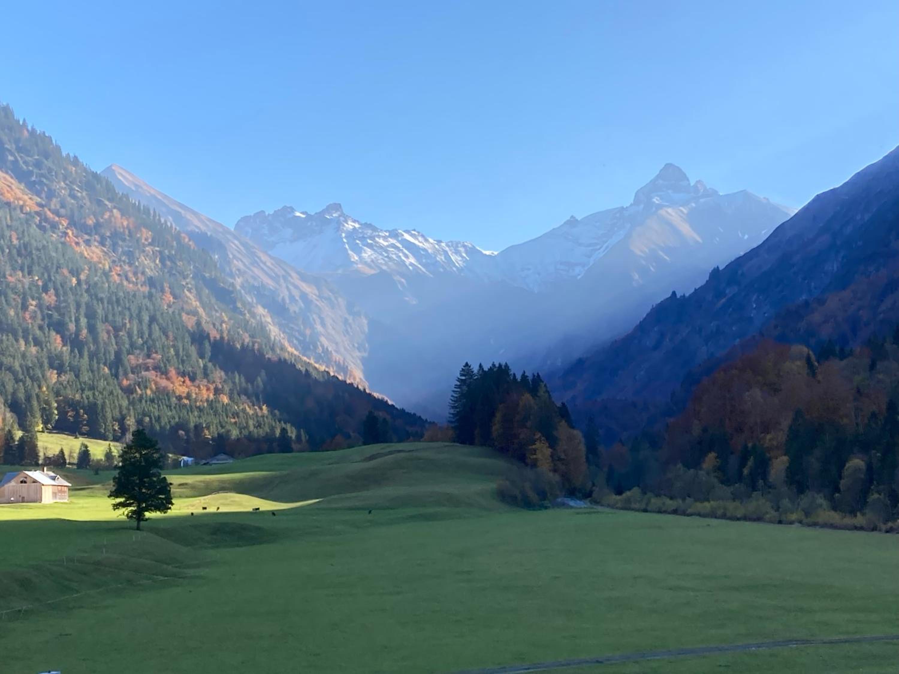 Alpenrose komfortable Ferienresidenz