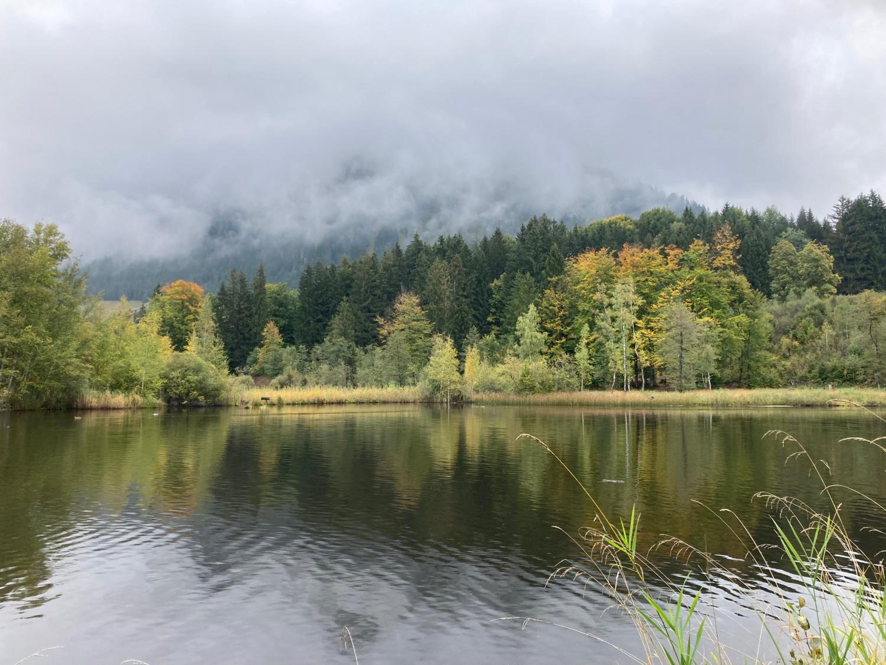 Alpenrose komfortable Ferienresidenz