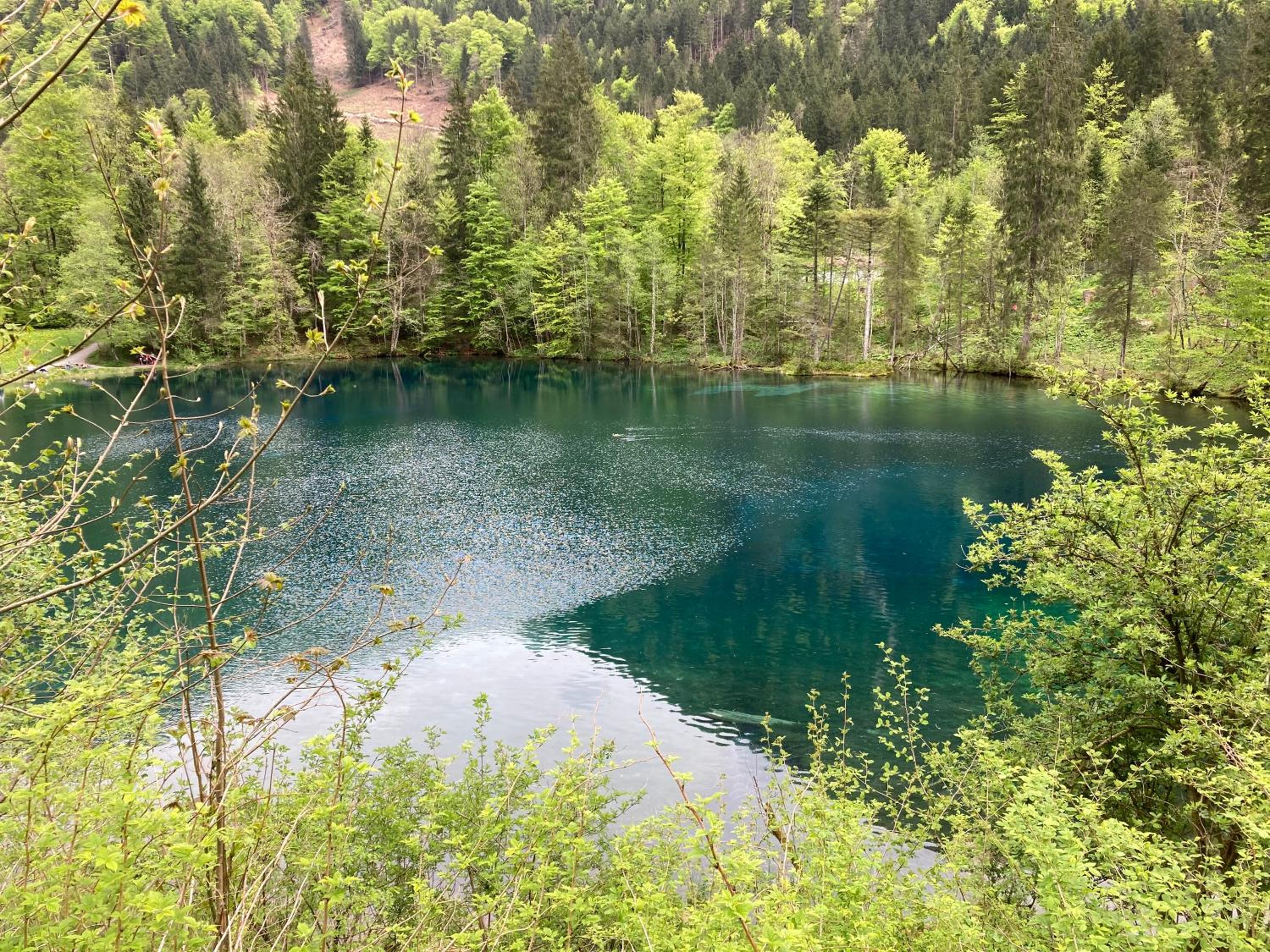 Alpenrose komfortable Ferienresidenz