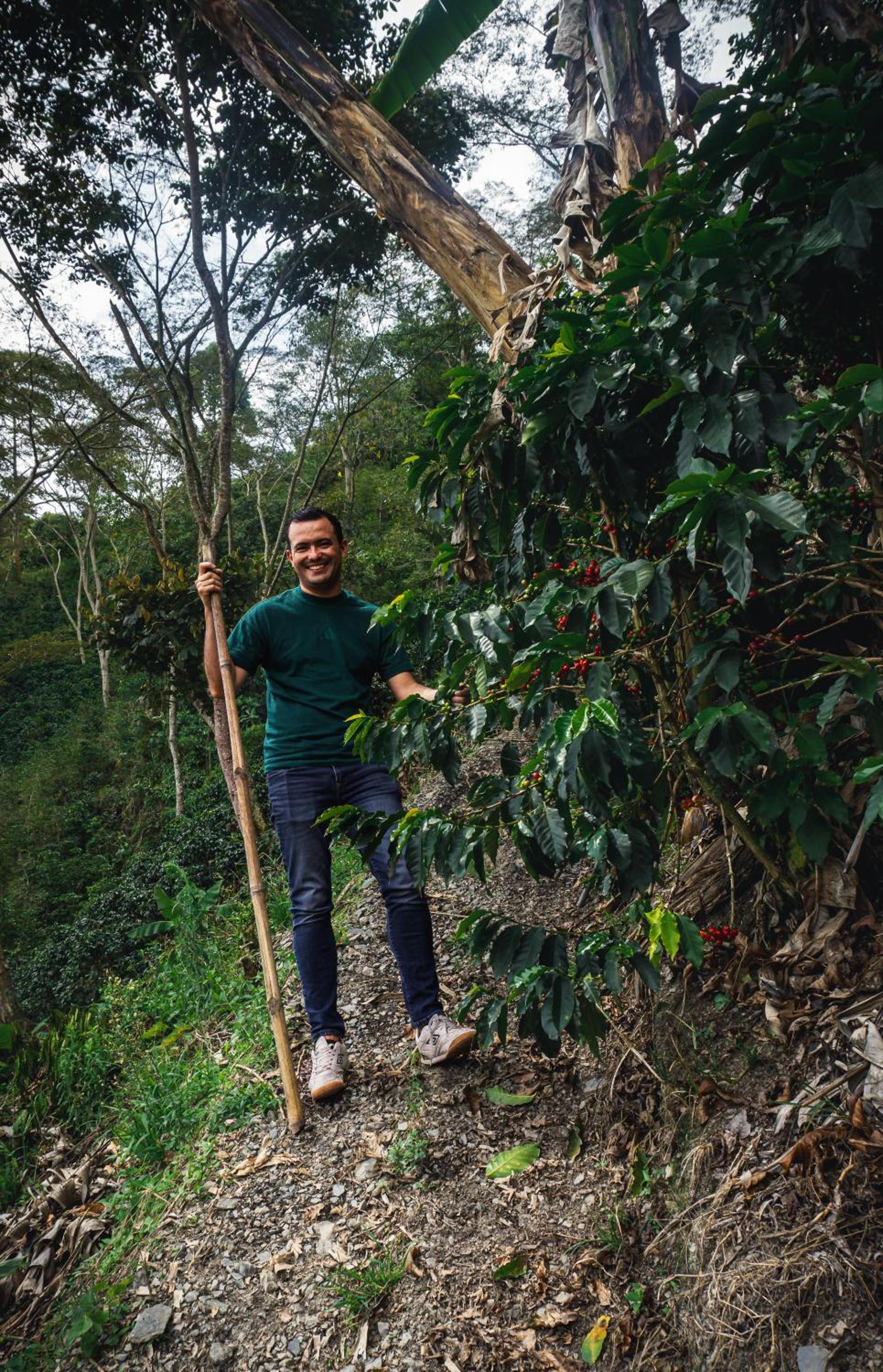 Meraki Cabaña Privada