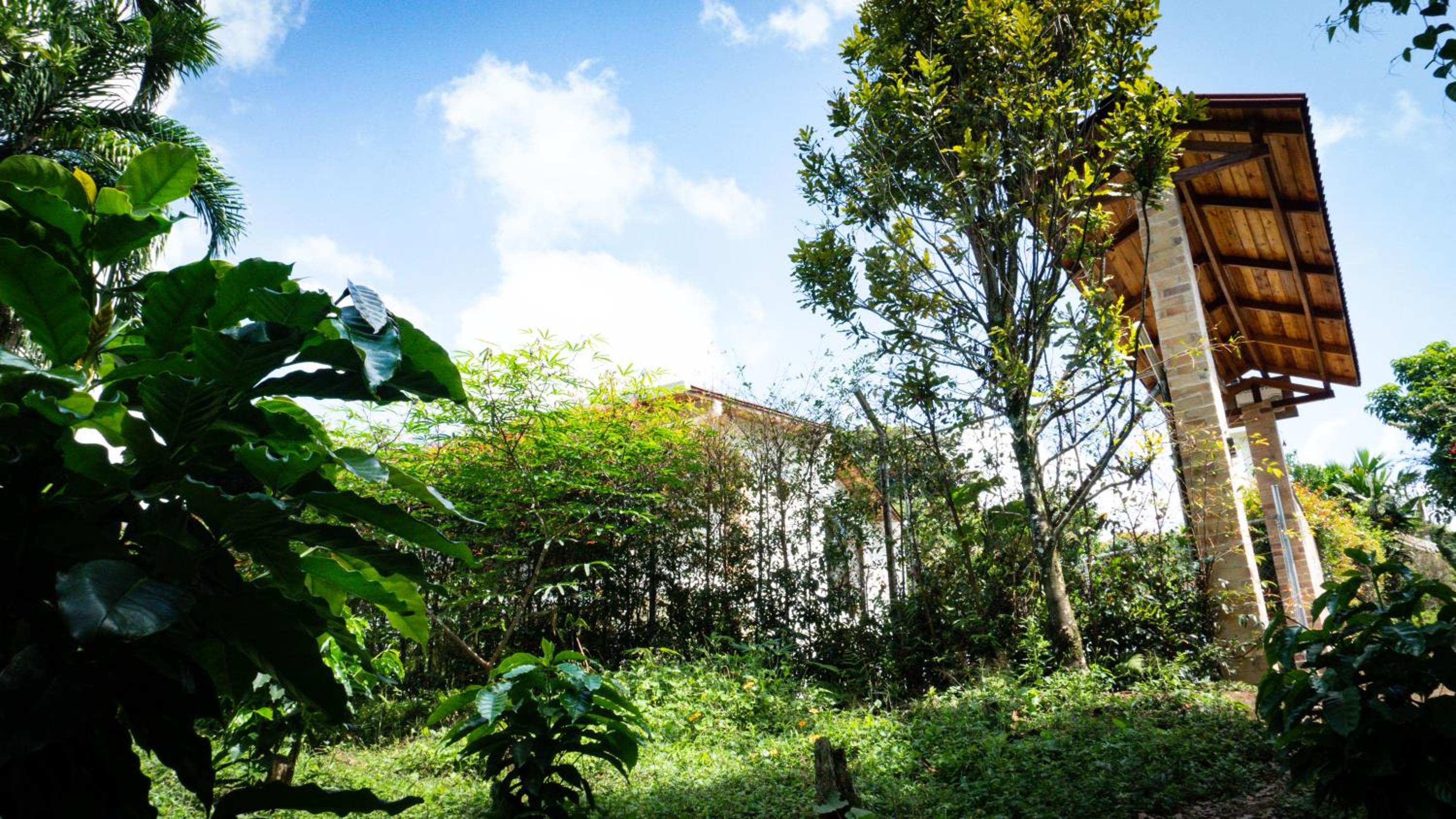 Meraki Cabaña Privada
