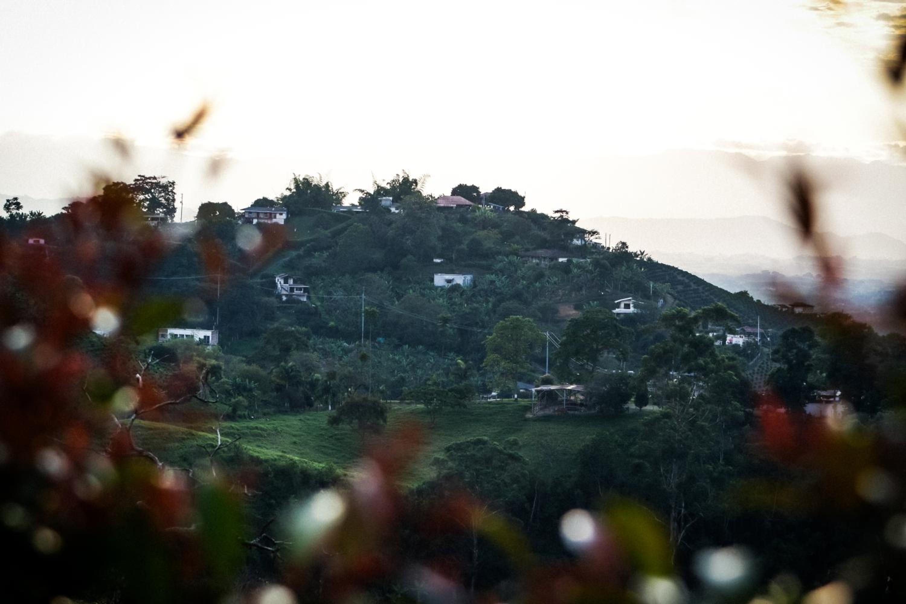 Meraki Cabaña Privada