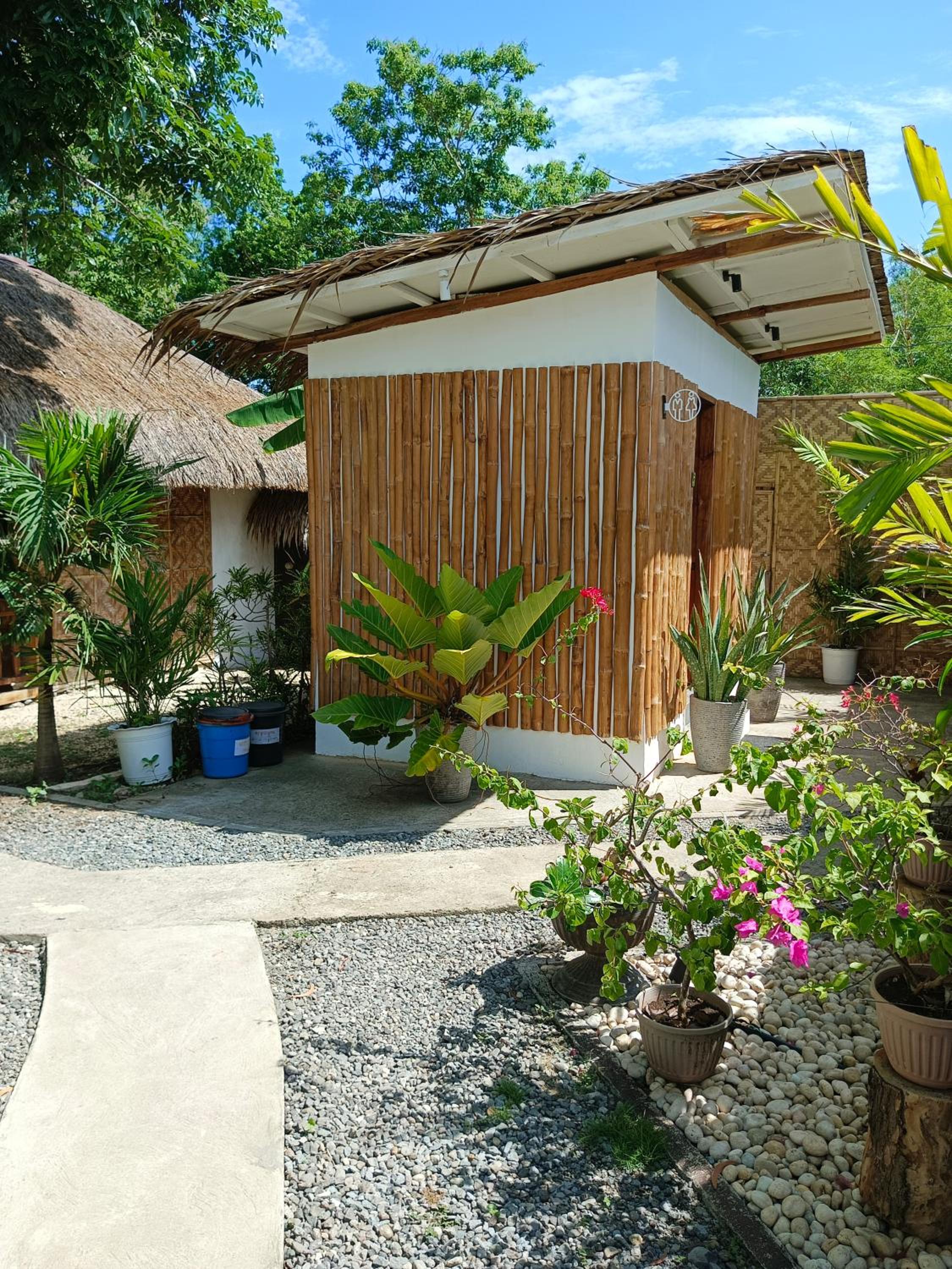 Alona Pawikan