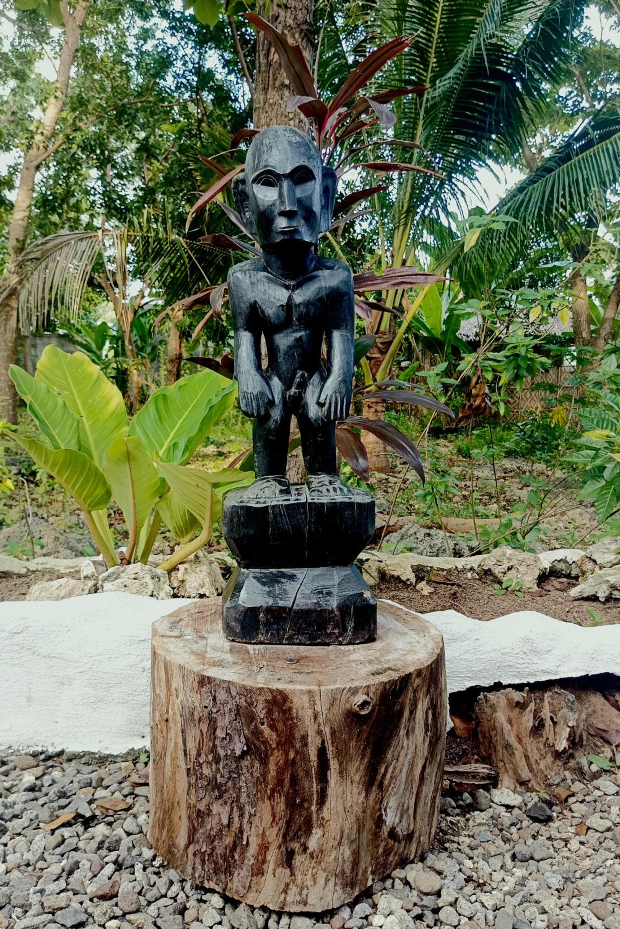 Alona Pawikan