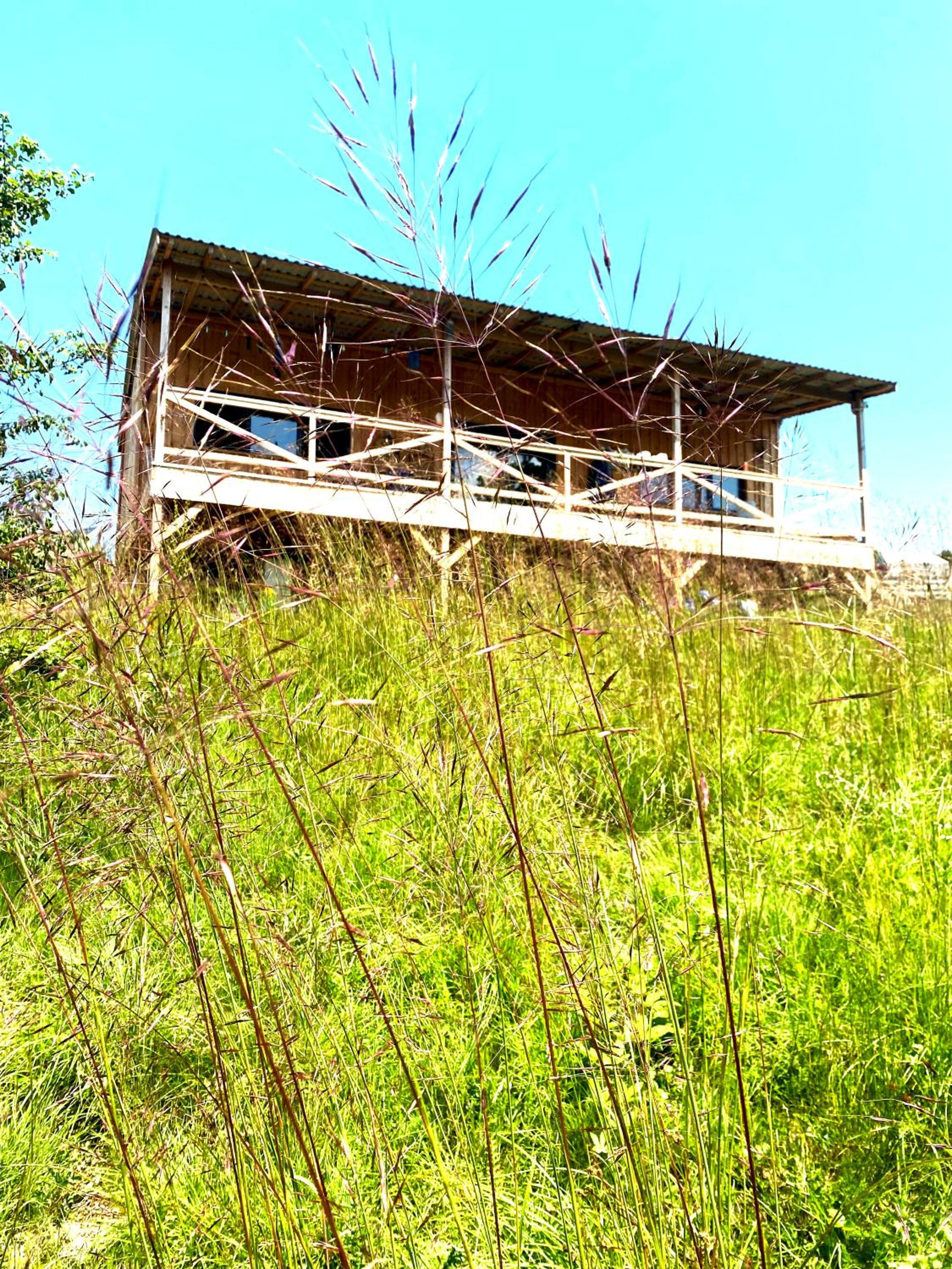 The Cabin On the Hill