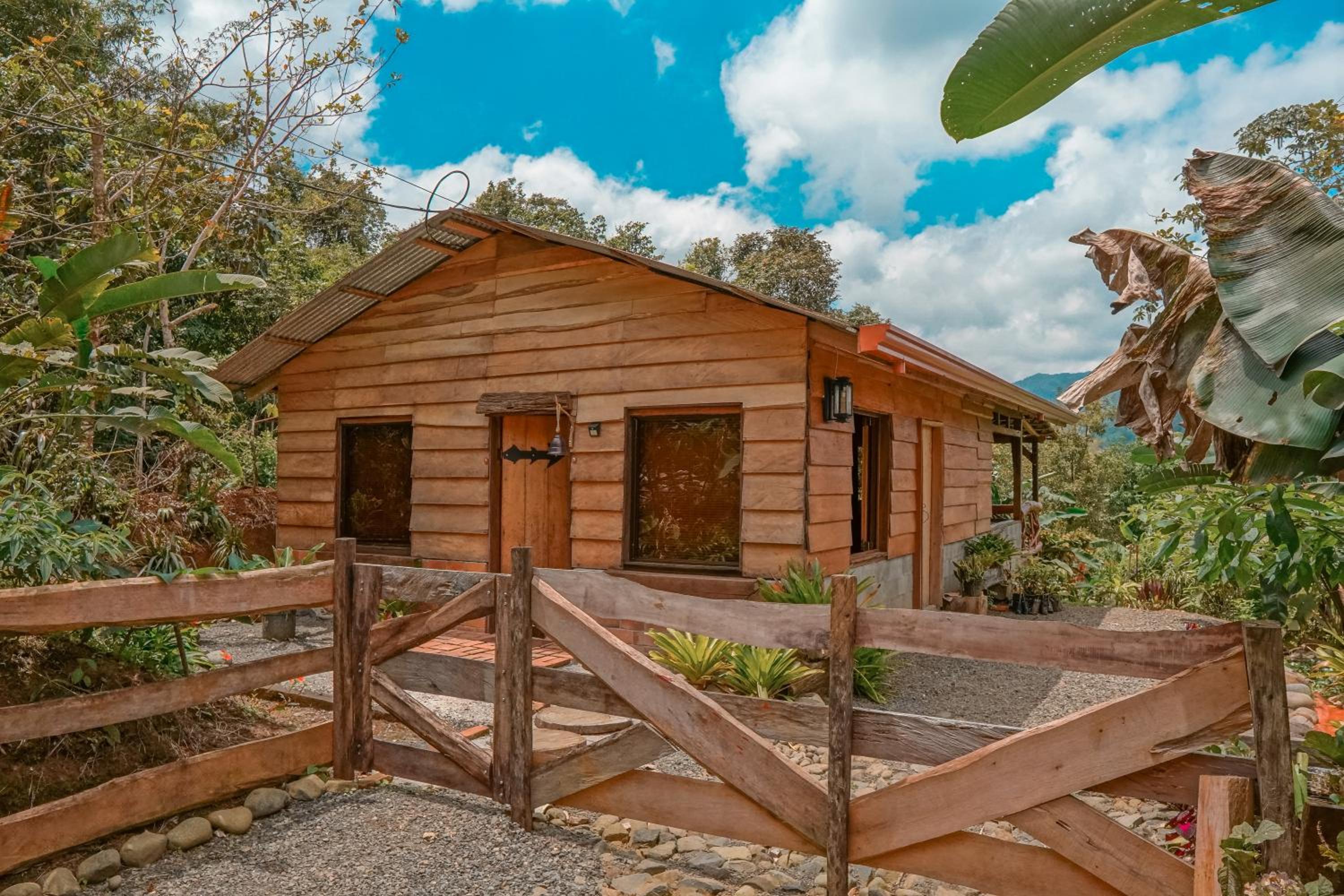 Hotel La Tigra Rainforest Lodge - Image 1