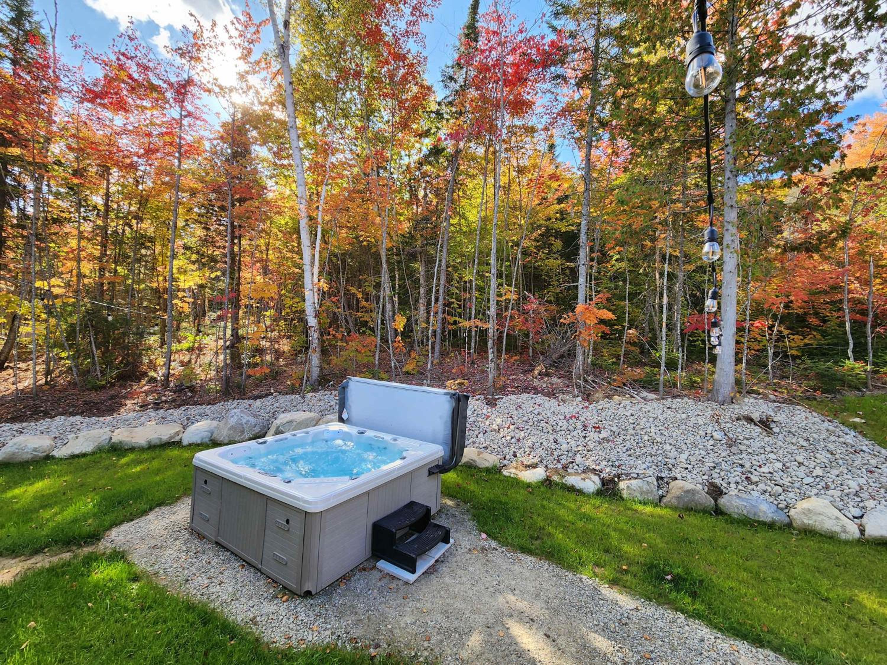 Chalet Isatis - SPA - Access to the Lake