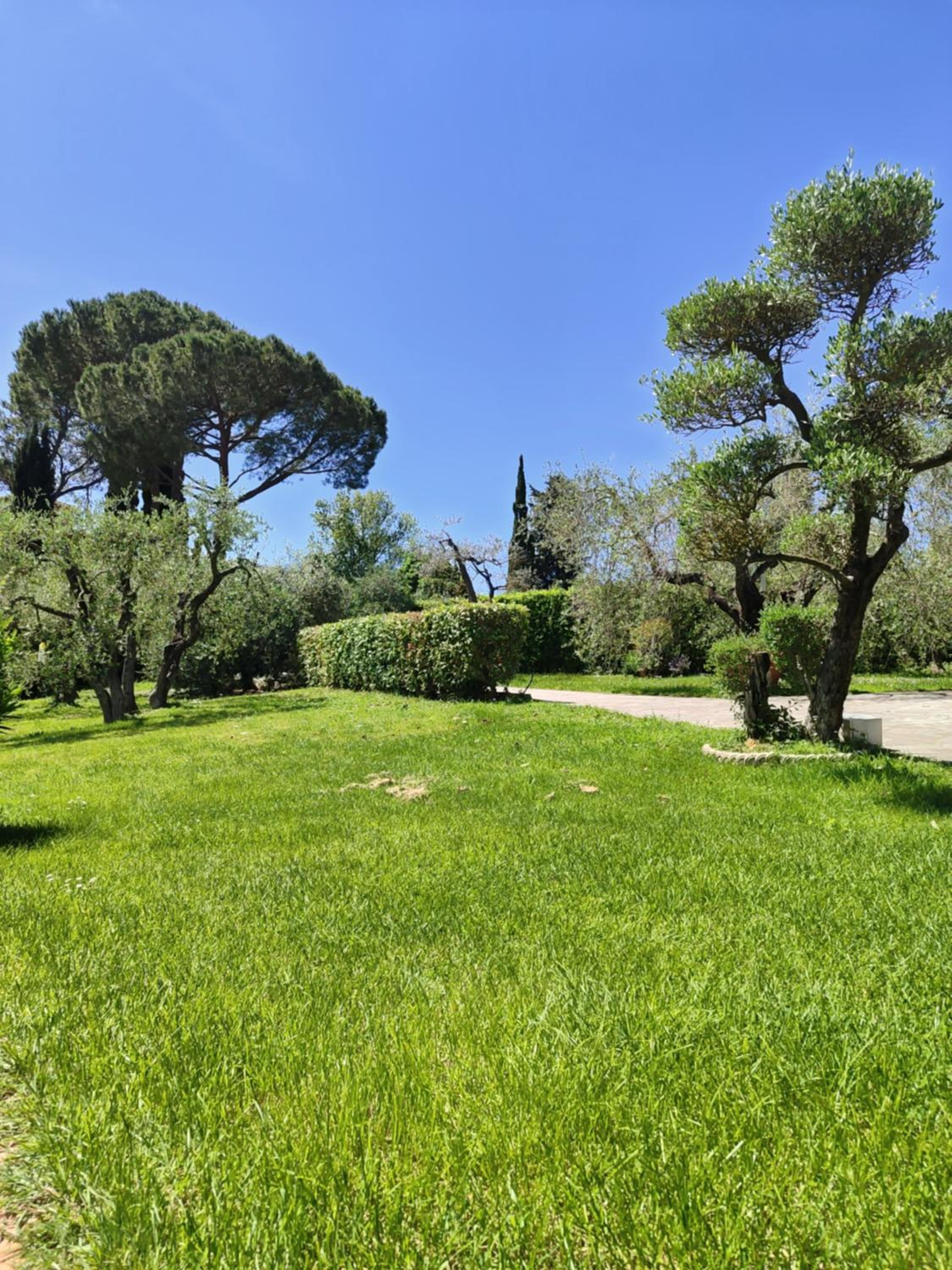 Casa vacanze il Palazzetto view 5