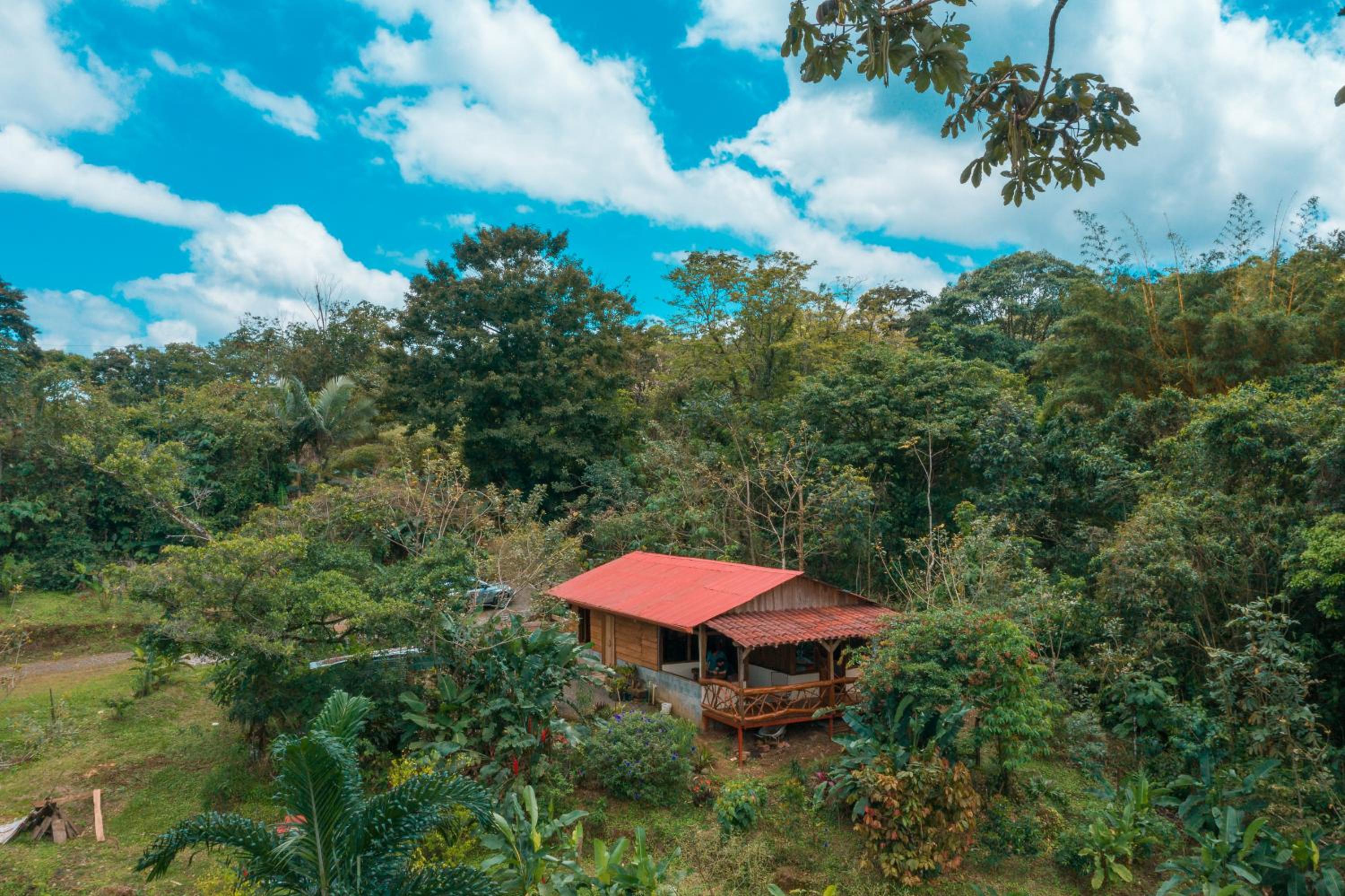 La Tigra Rainforest Lodge