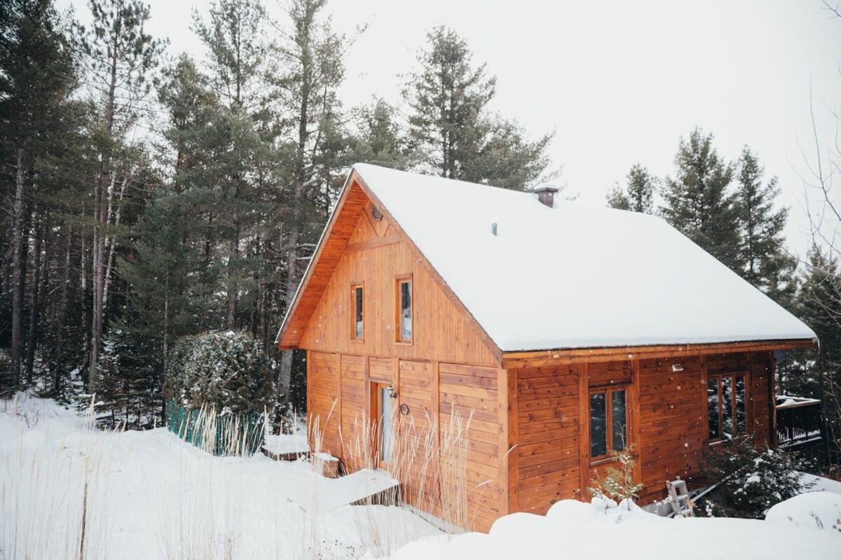 Le Repos - Warmth of wood and modern decoration