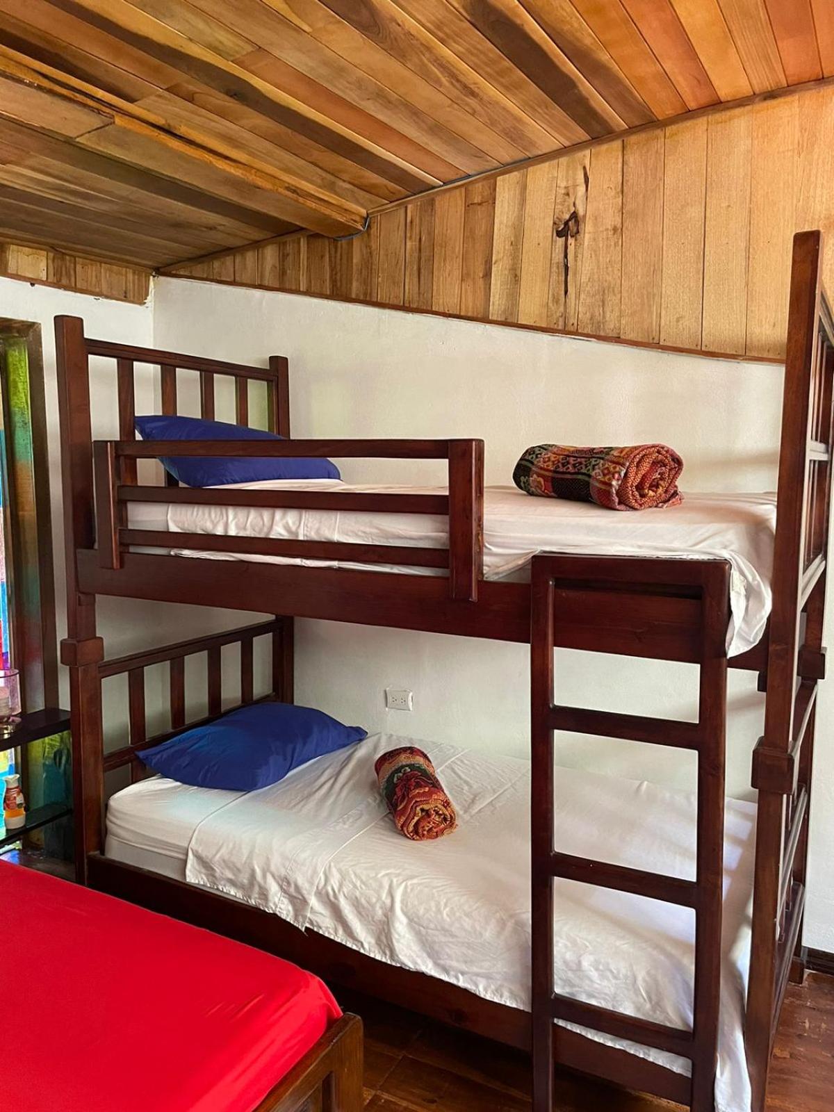 Papaya Wildlife Lodge