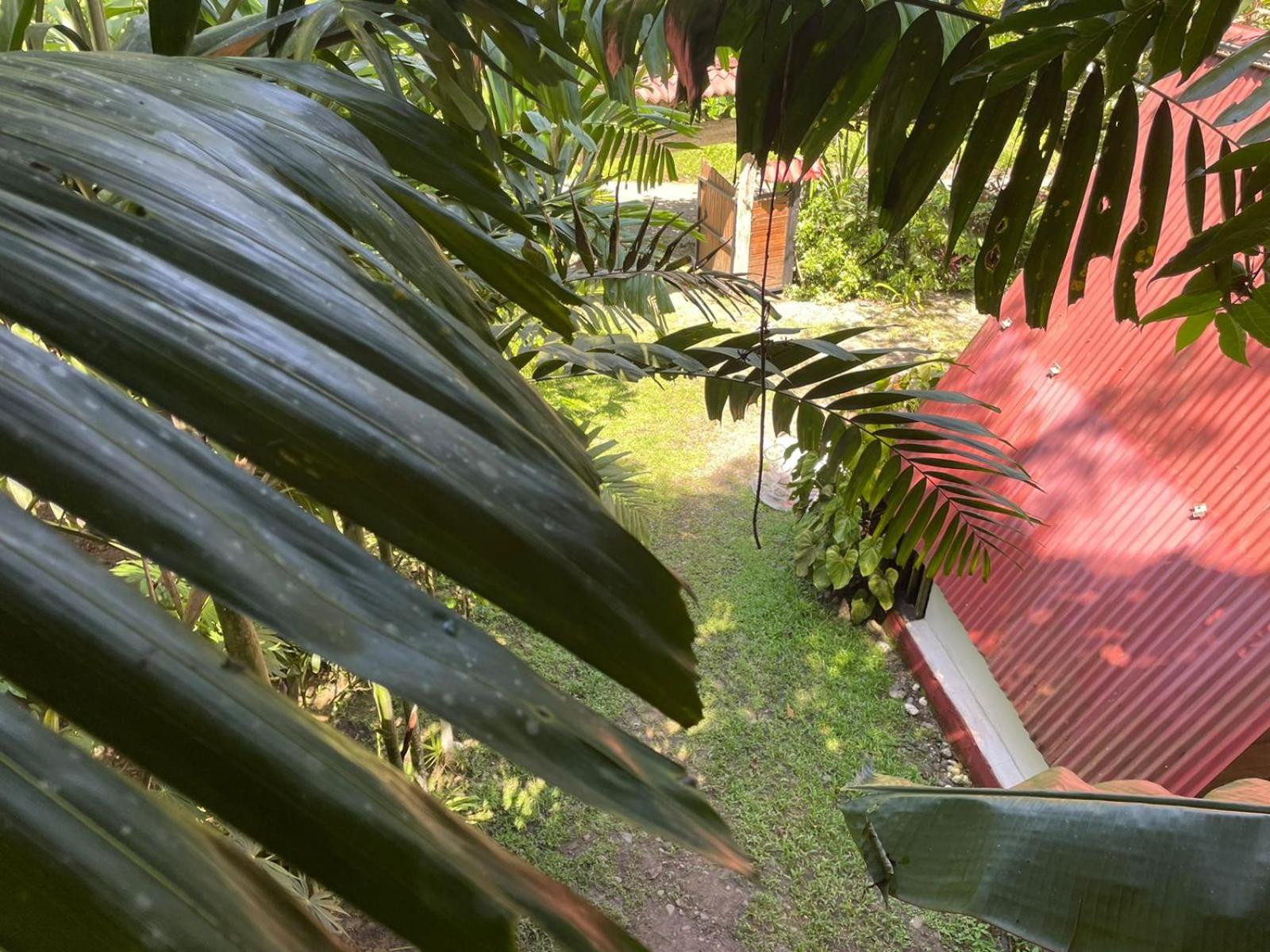 Papaya Wildlife Lodge