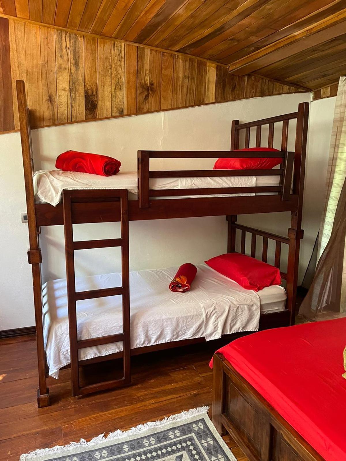 Papaya Wildlife Lodge