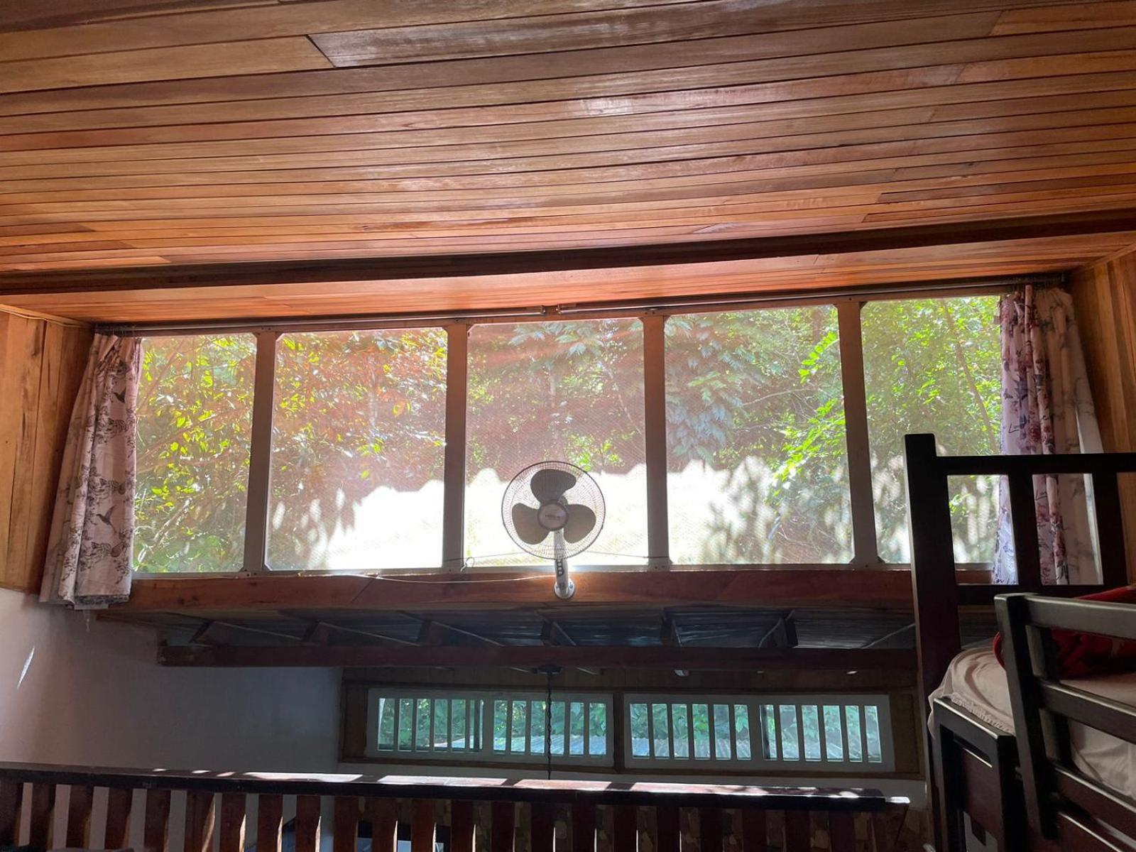 Papaya Wildlife Lodge