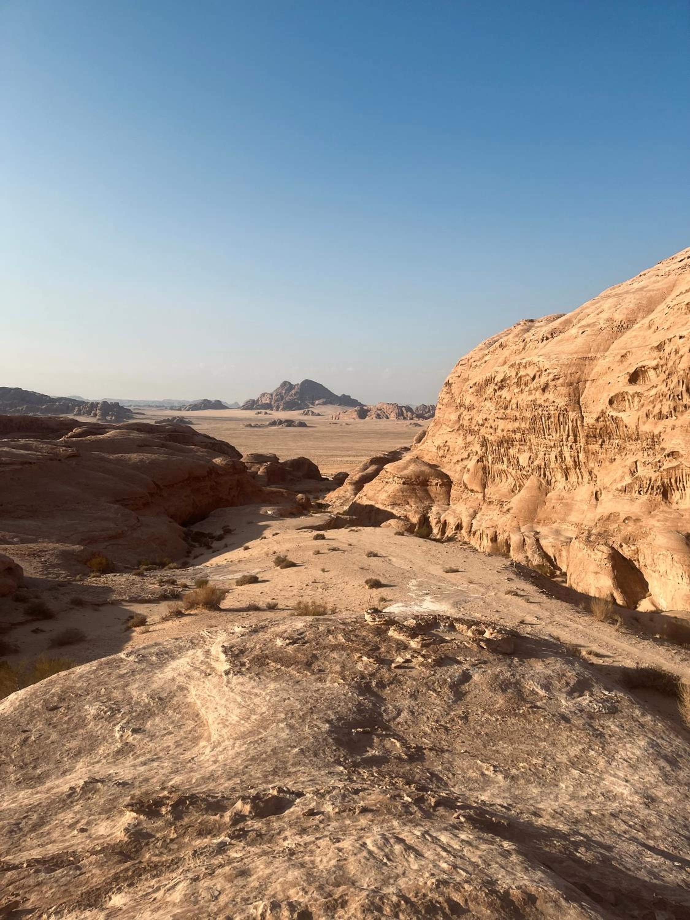 Camille WadiRum Camp