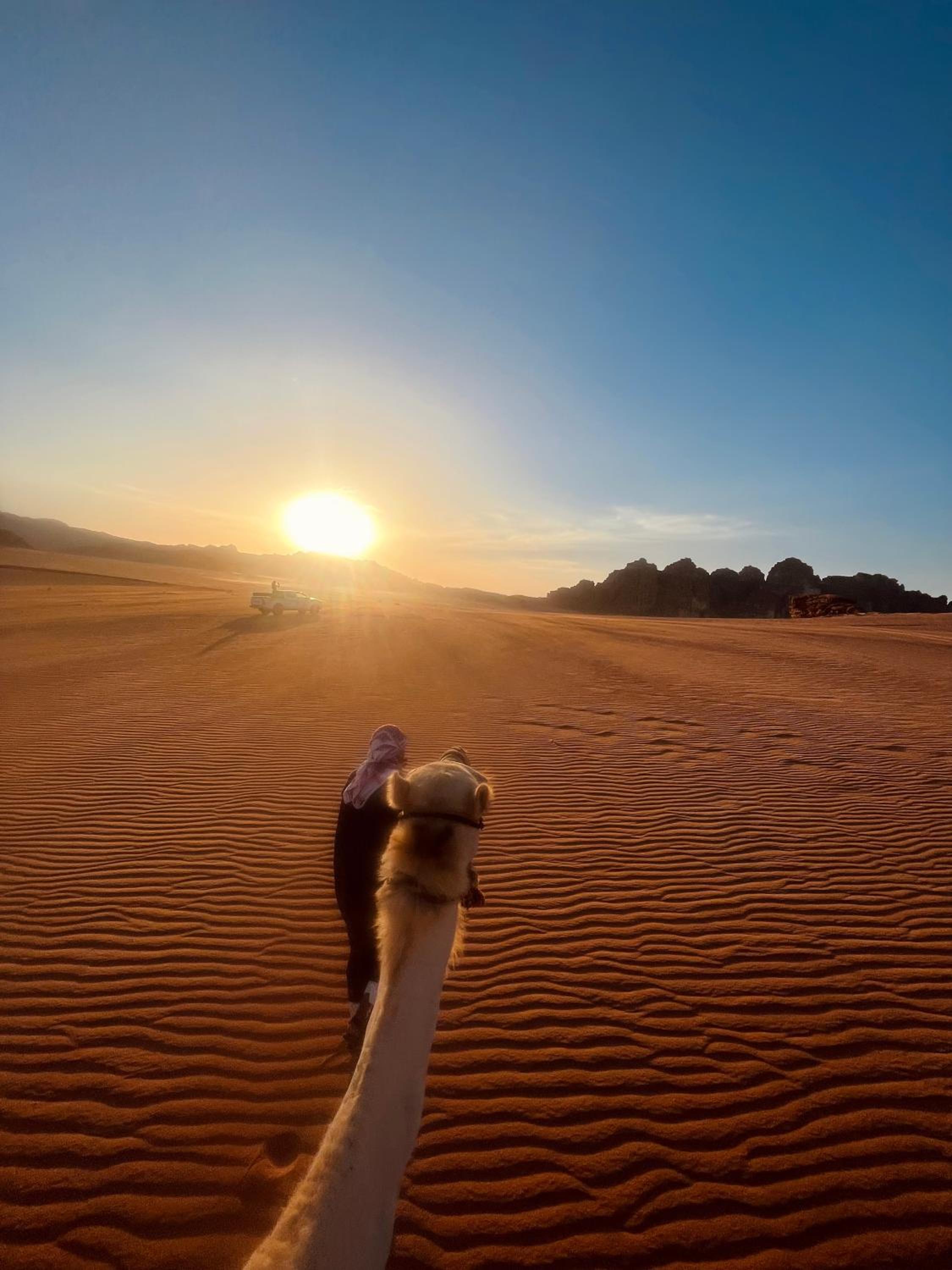 Camille WadiRum Camp