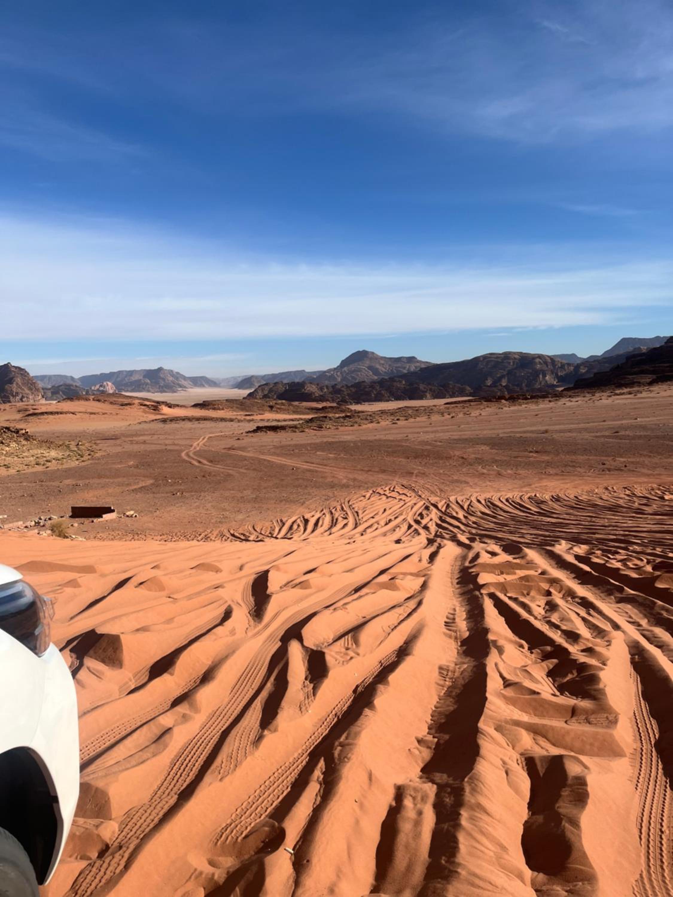 Camille WadiRum Camp