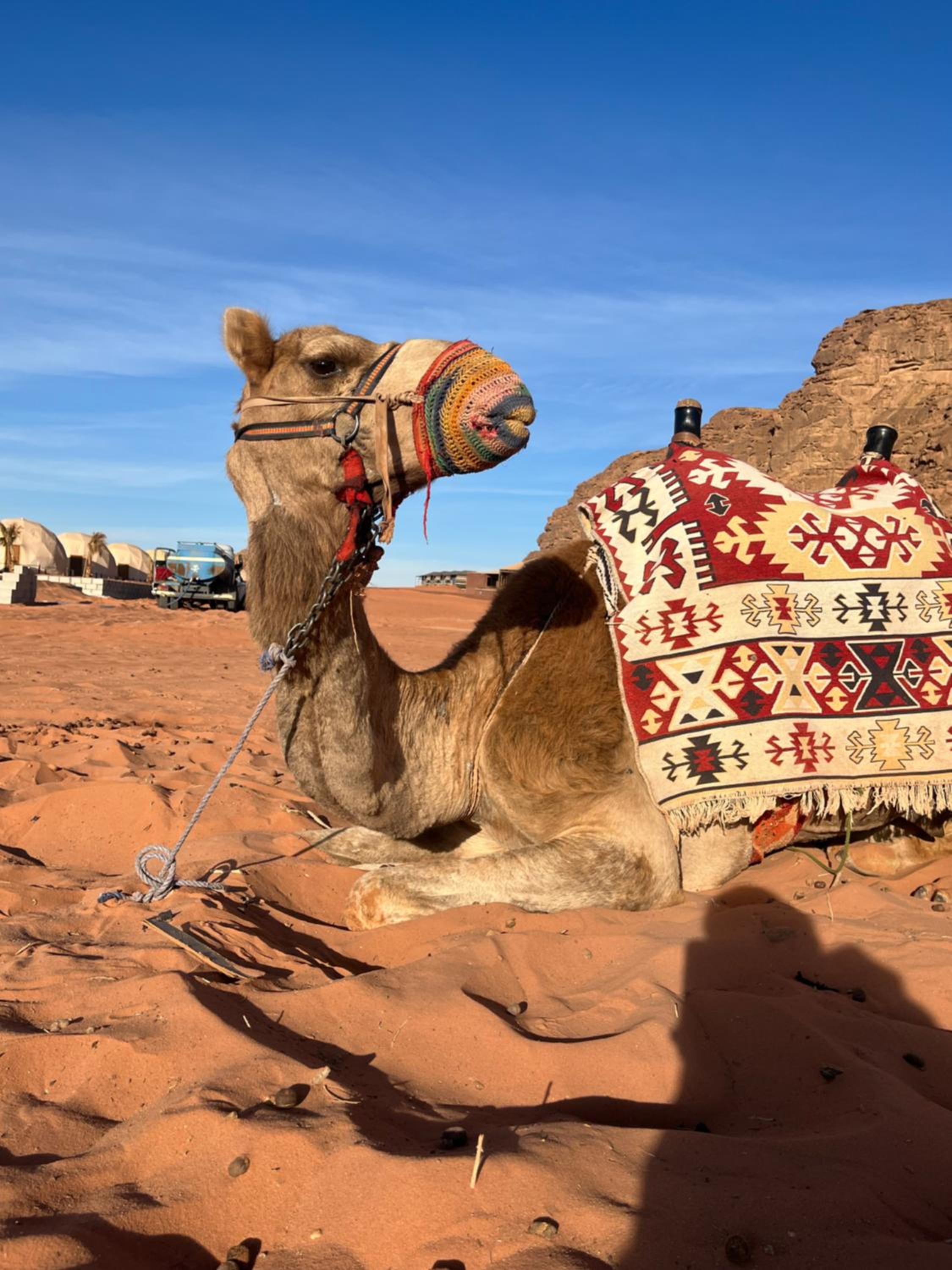 Camille WadiRum Camp