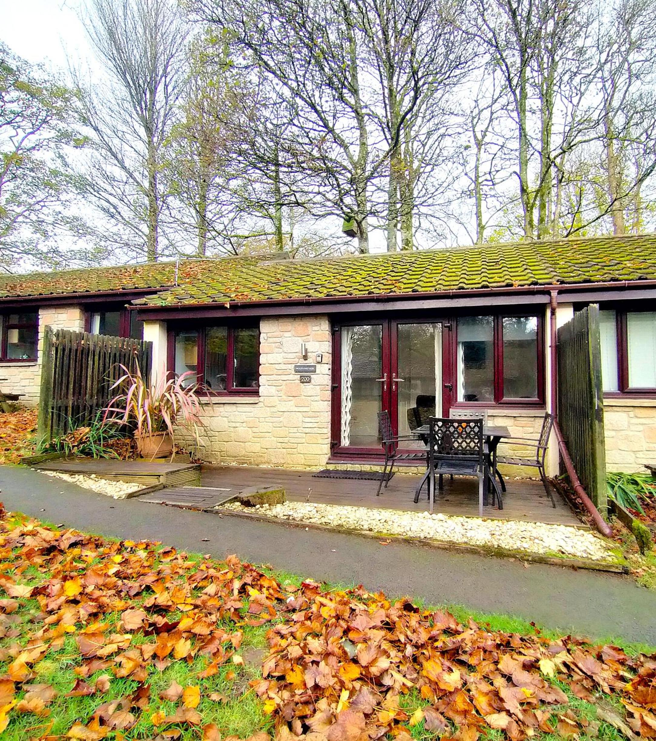 Woodland View - Families & Pets view 2