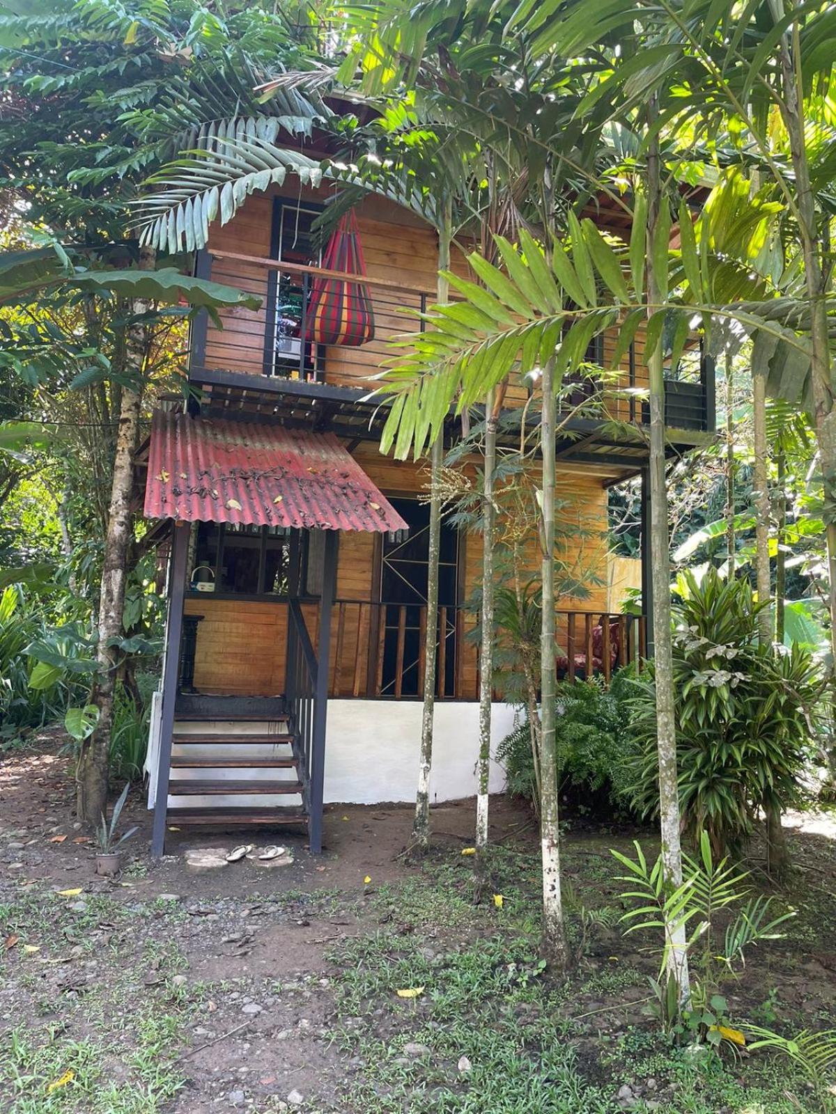 Papaya Wildlife Lodge