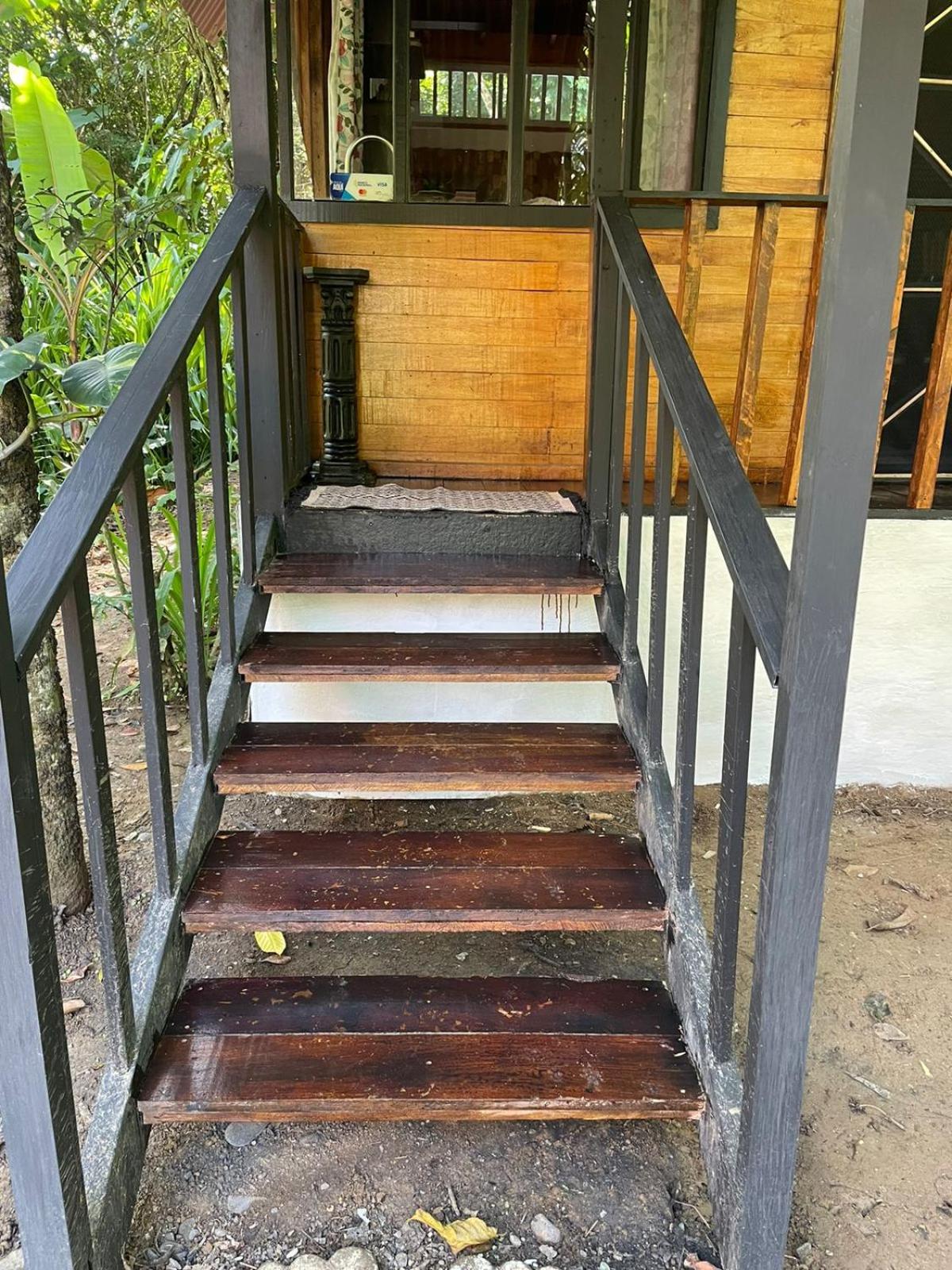 Papaya Wildlife Lodge