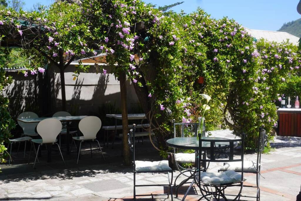 Casa Acacios