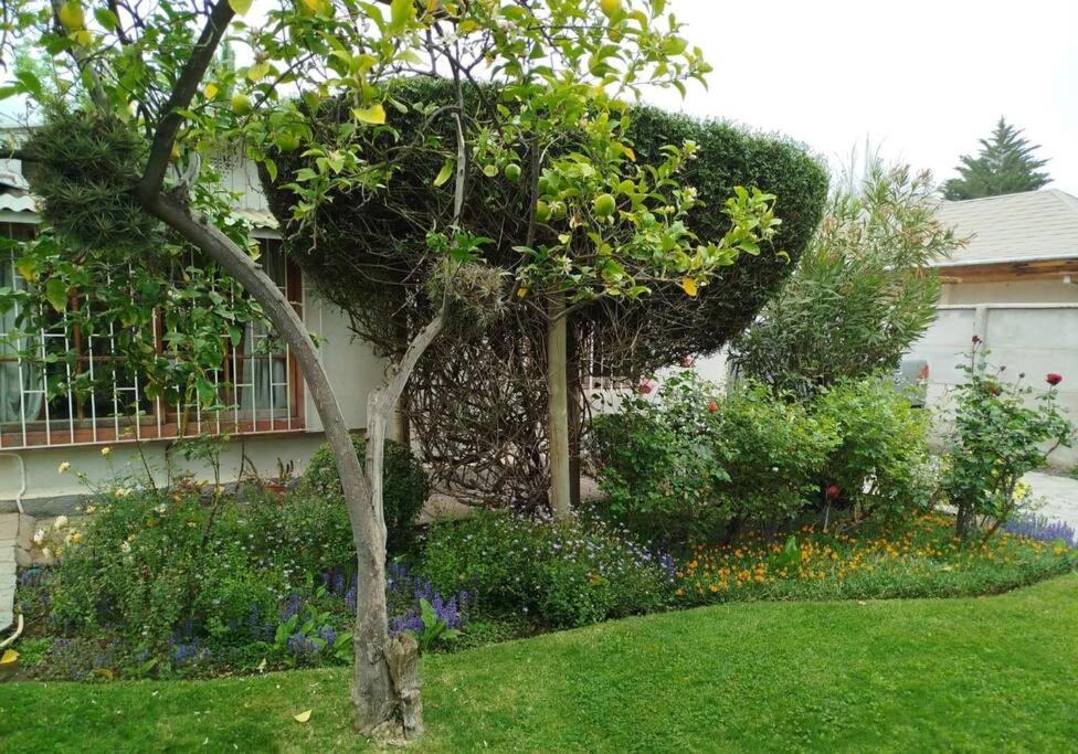 Casa Acacios