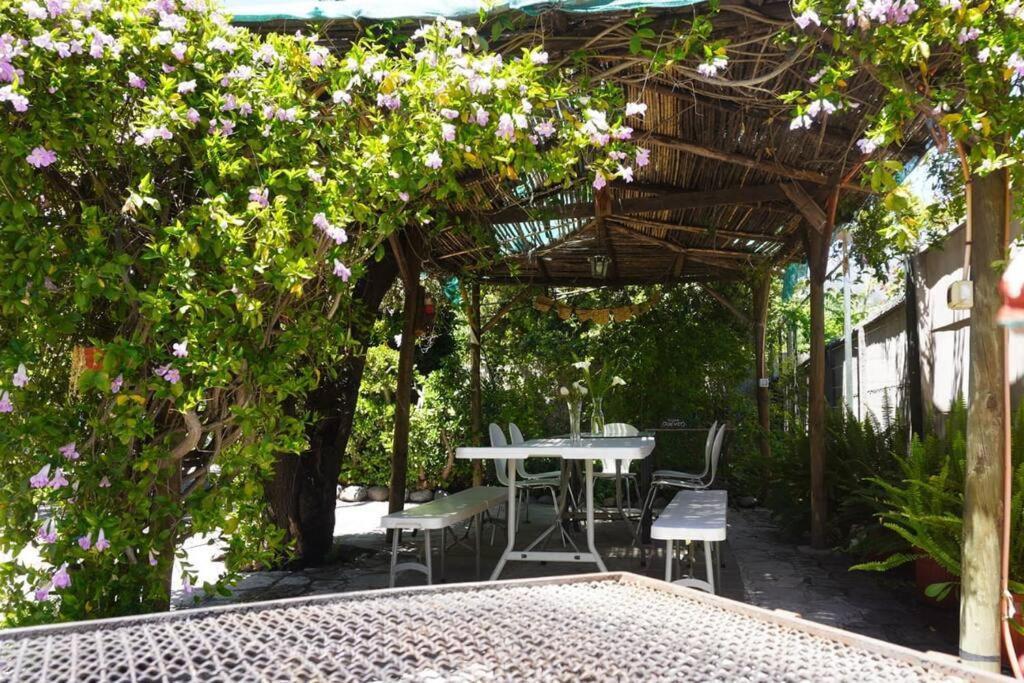 Casa Acacios