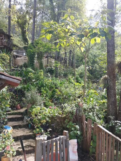 Cabaña ecológica de la granjita