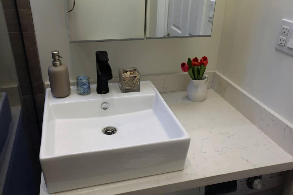 Private 3 bedroom Apartment in Downtown Toronto
