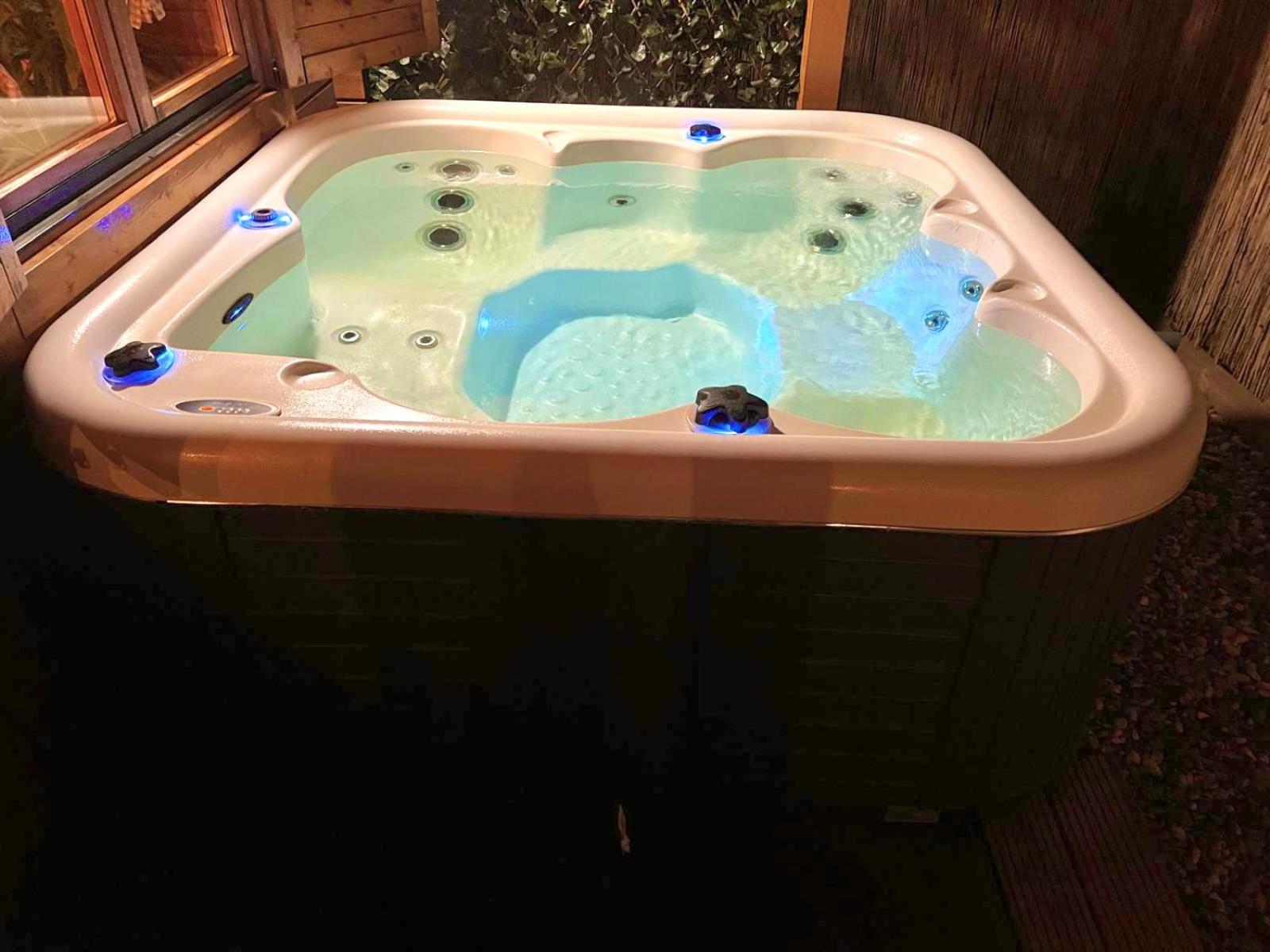 Rustic Western Ranch House with private garden and jacuzzi between Amsterdam Haarlem and Schiphol Airport view 4