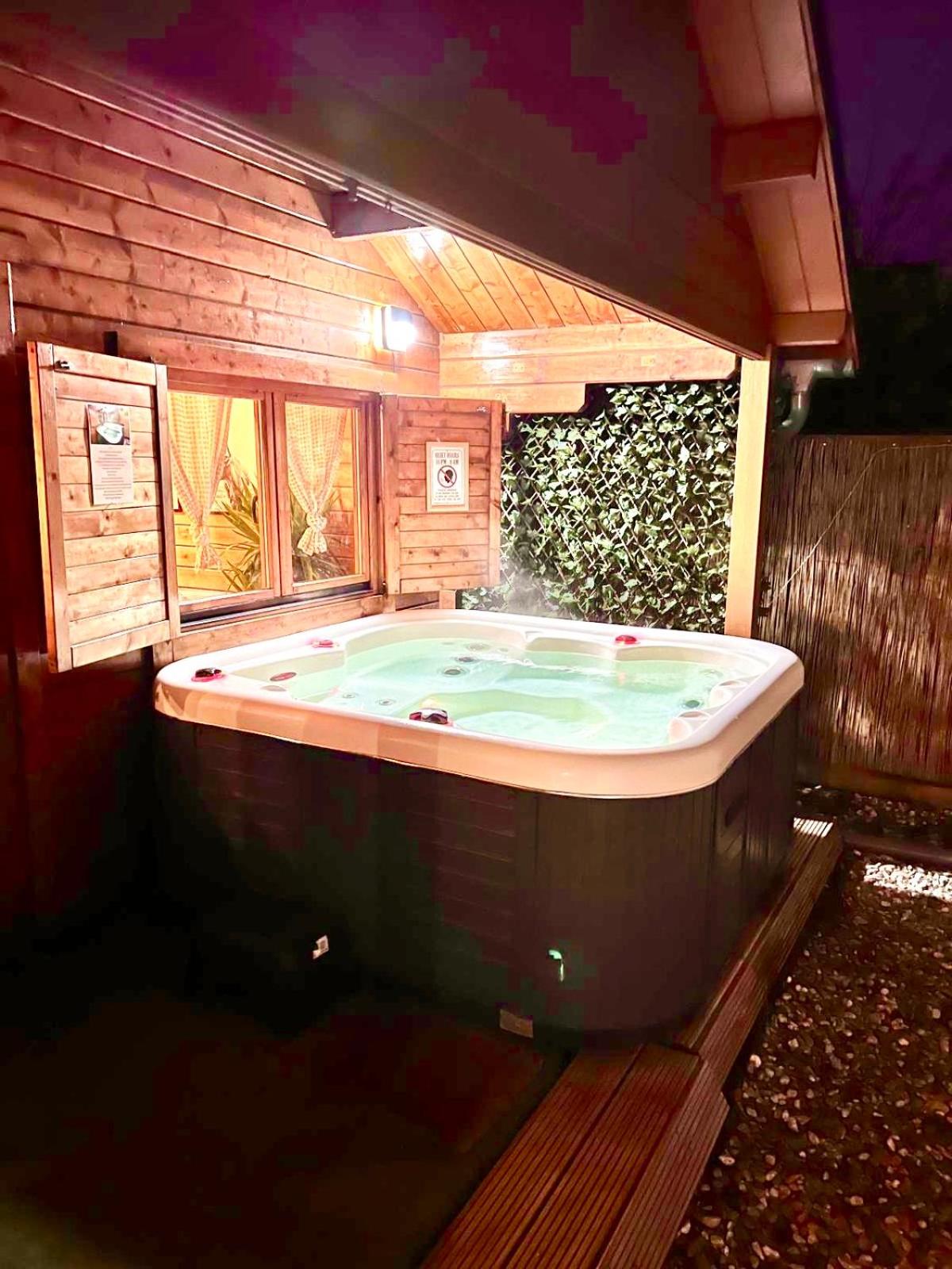 Rustic Western Ranch House with private garden and jacuzzi between Amsterdam Haarlem and Schiphol Airport view 2