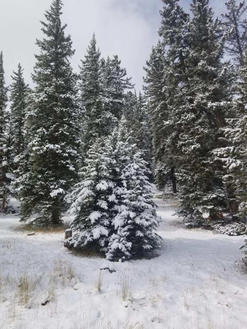 Mountain Retreat in Keystone view 3