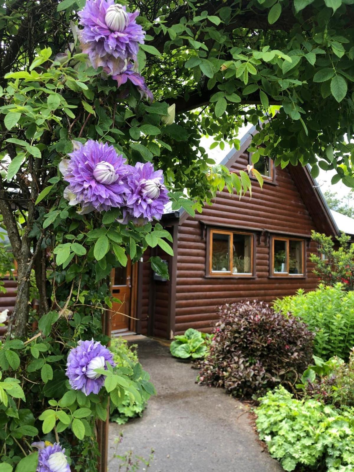 Fern Lodge. Drumcoura Lake Resort, view 2