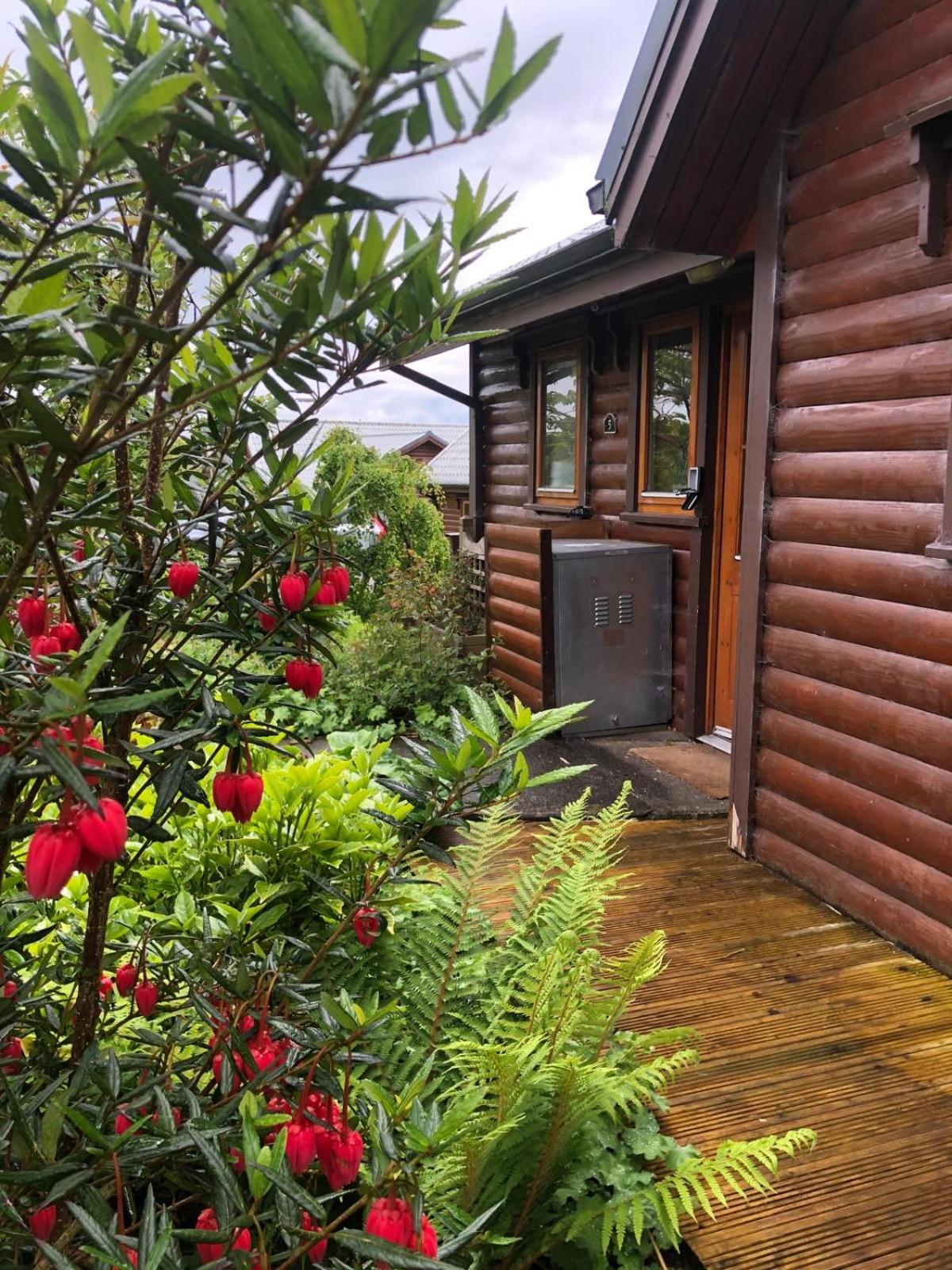 Fern Lodge. Drumcoura Lake Resort, view 3