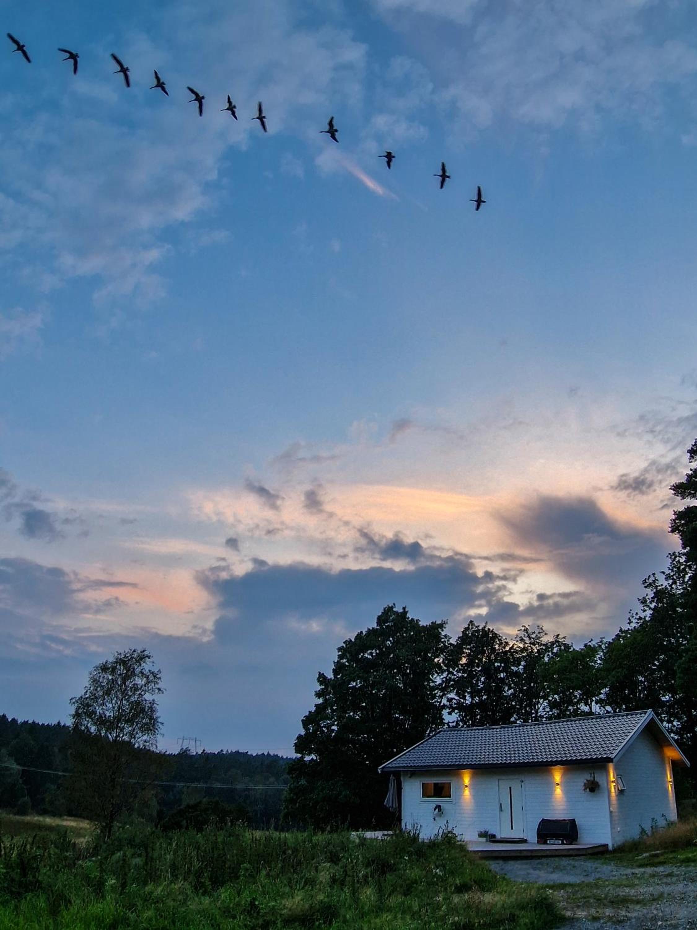 Wild Lodge