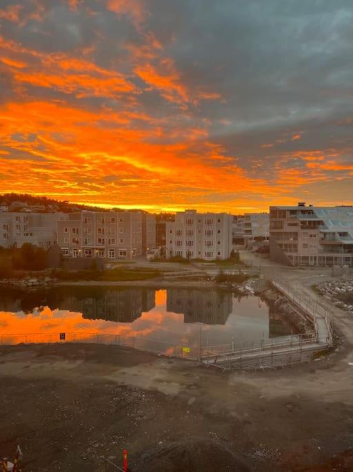Central Two-Bedroom Apartment, Free Parking, Perfect for Exploring