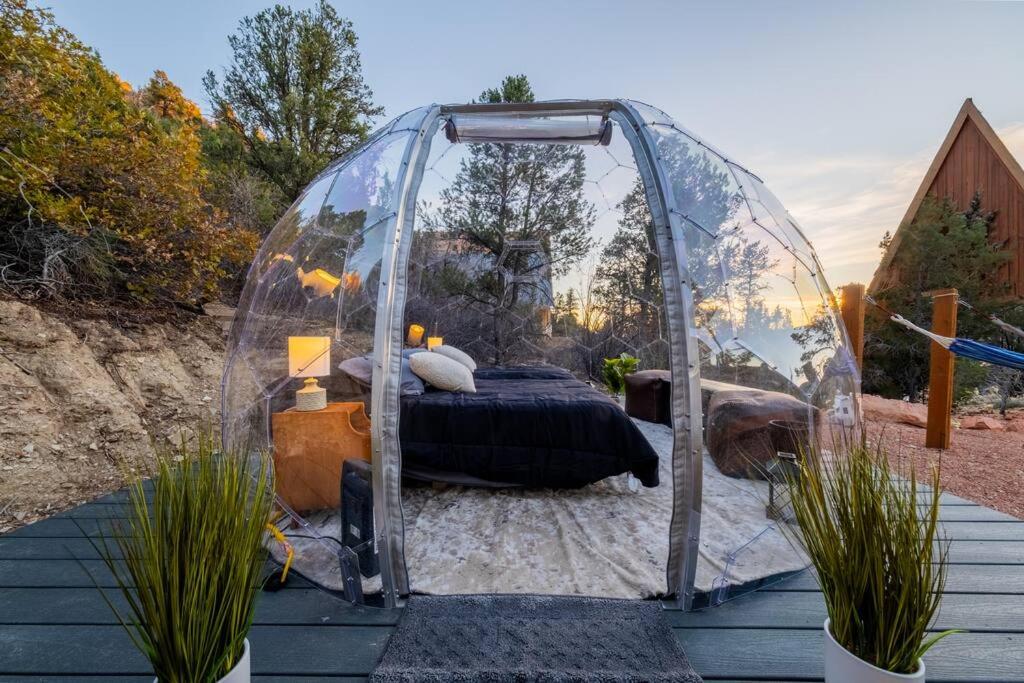 Cozy Cabin and Stargazing Dome Bedroom Deck BBQ Hammocks view 4