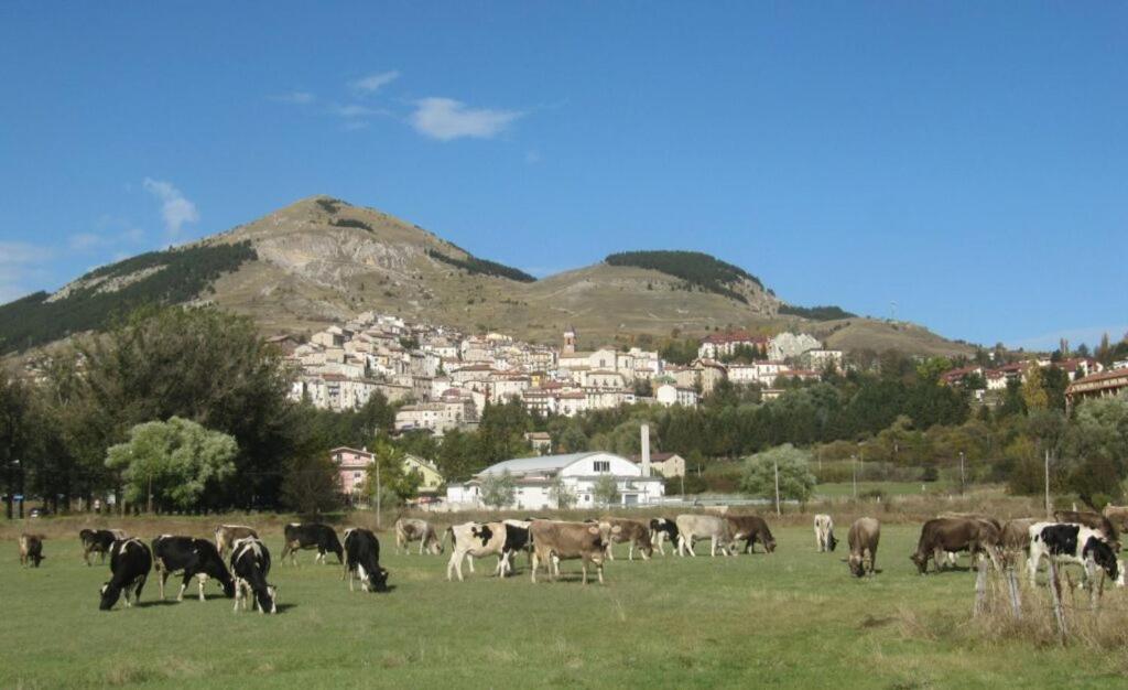Come a casa view 5