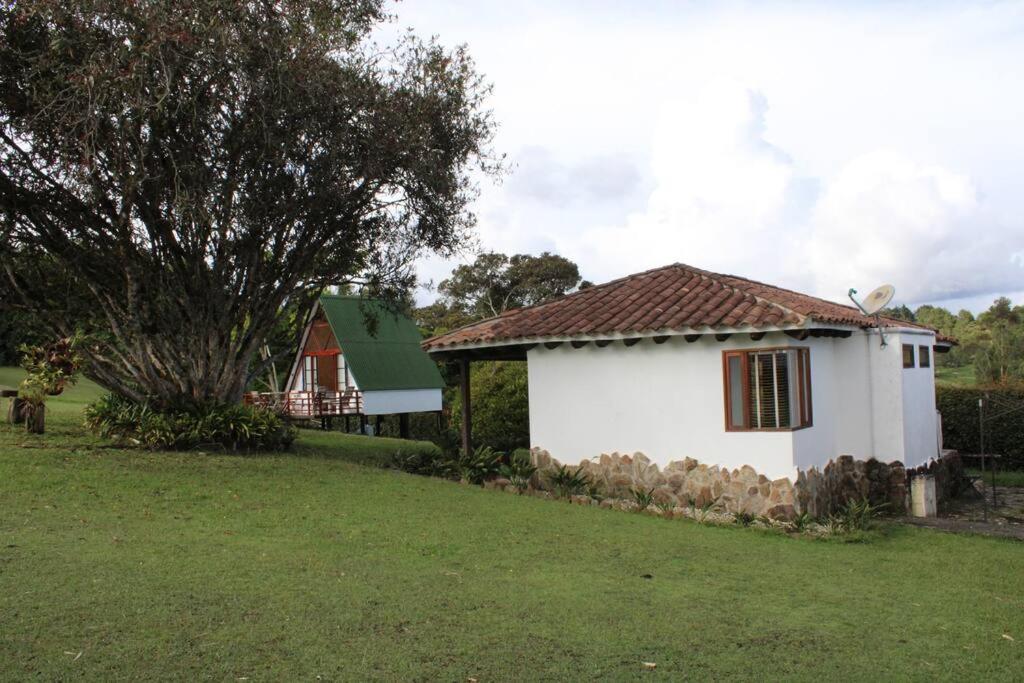 Casa finca pietrasanta