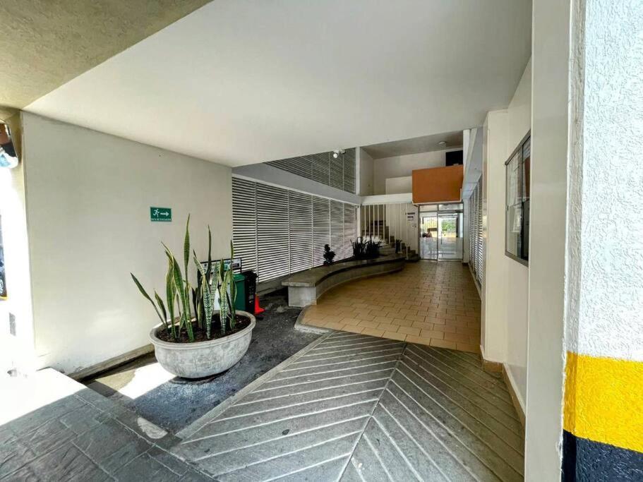 Beautiful Apartment cozy gym Wi-fi pool