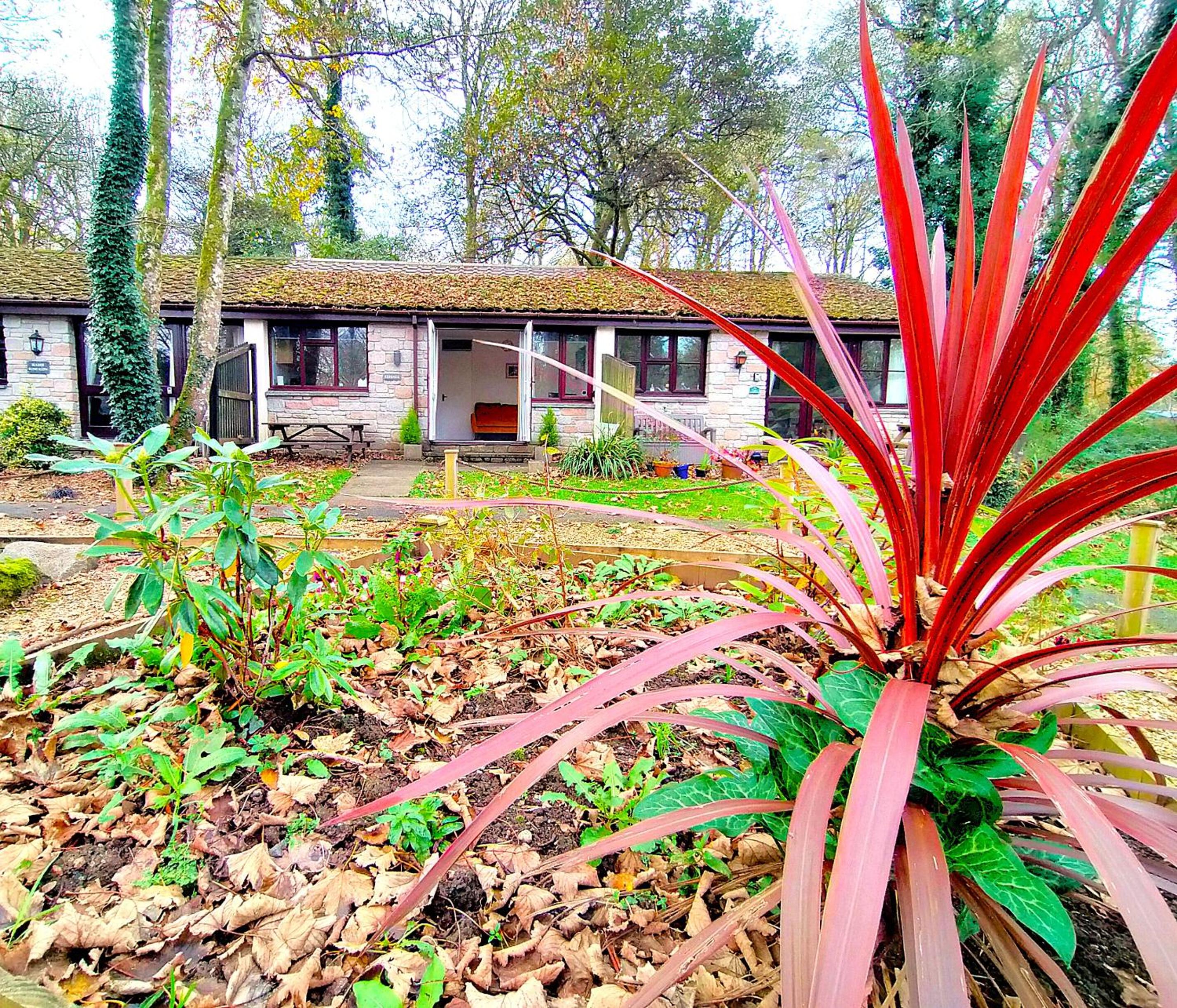 Kerenza Cottage - Families & Pets view 3