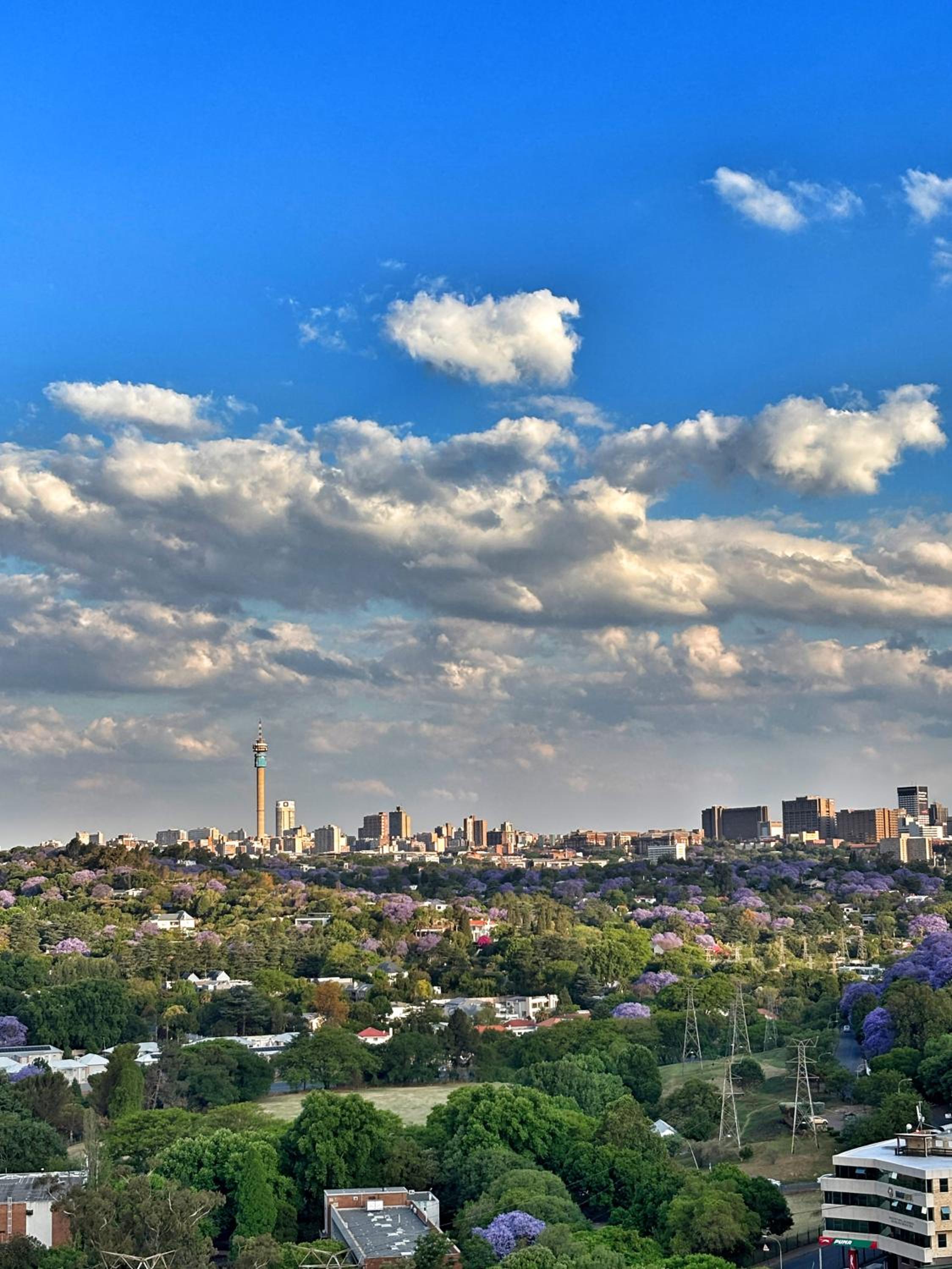 La Casa Blanca - Emmarentia, Johannesburg