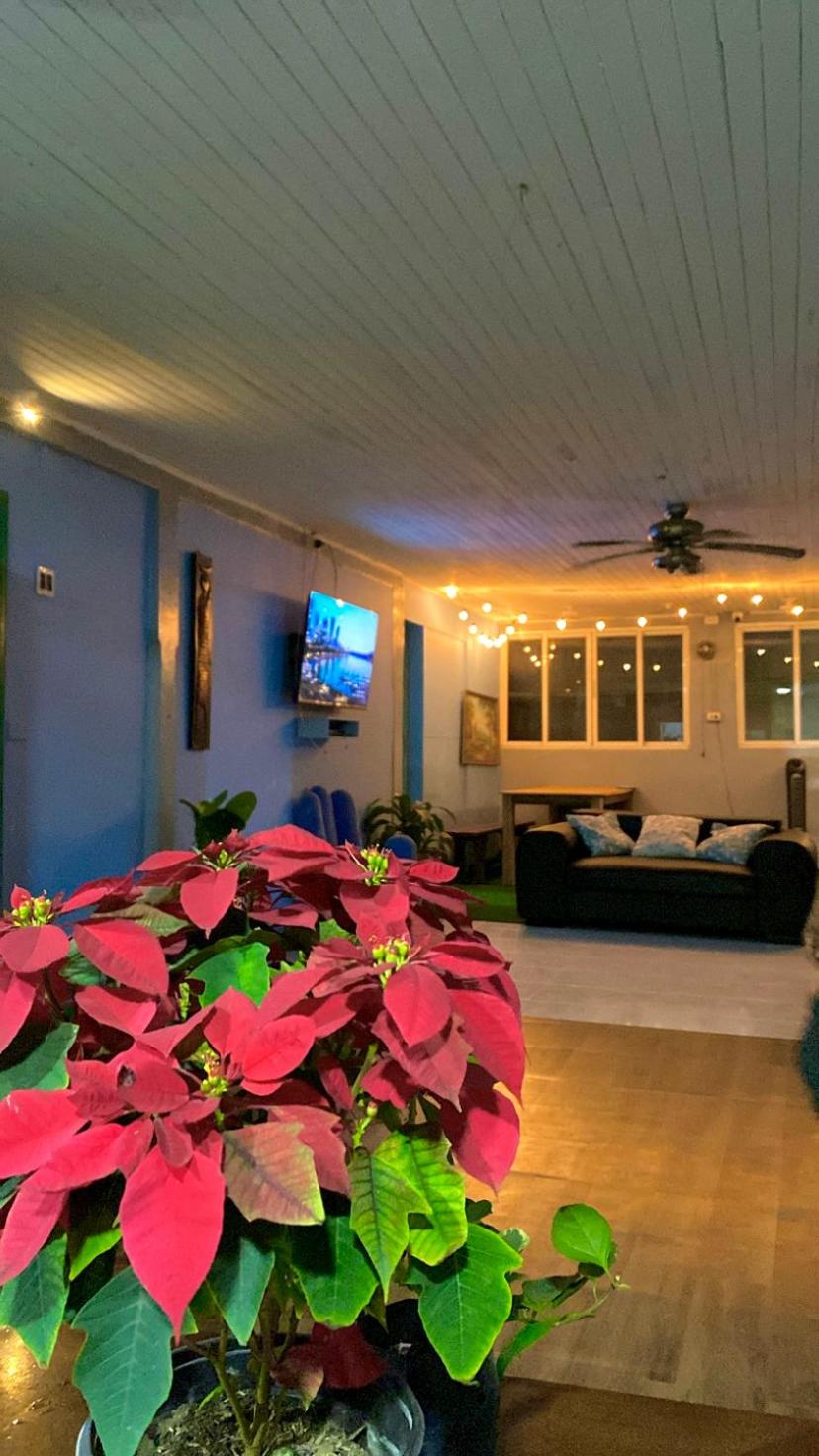 Dreamer's Hostel