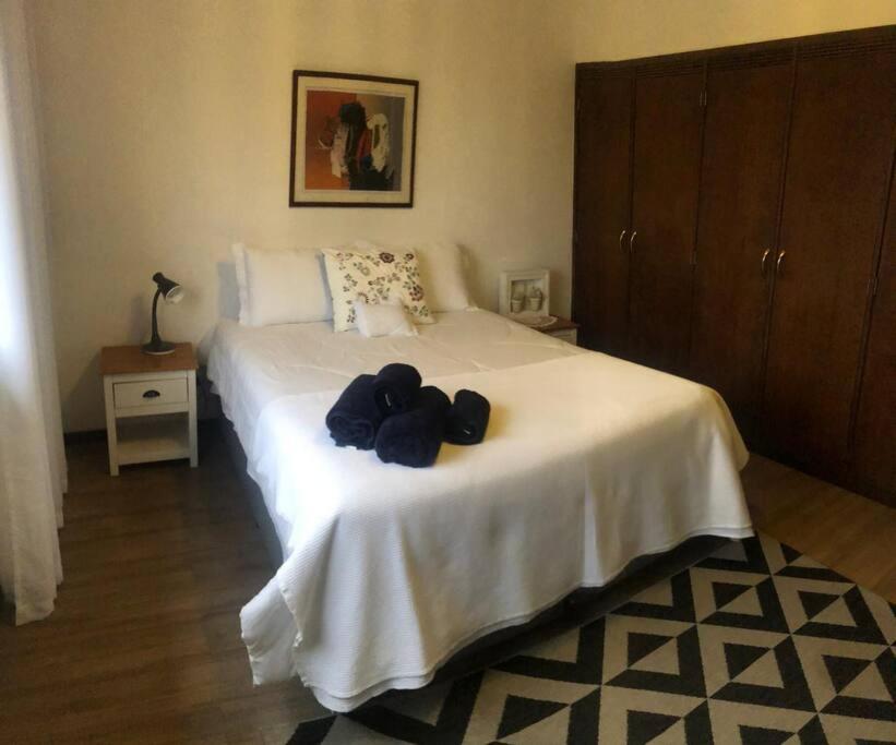 Casa com vista deslumbrante, natureza, conforto e toda plana!