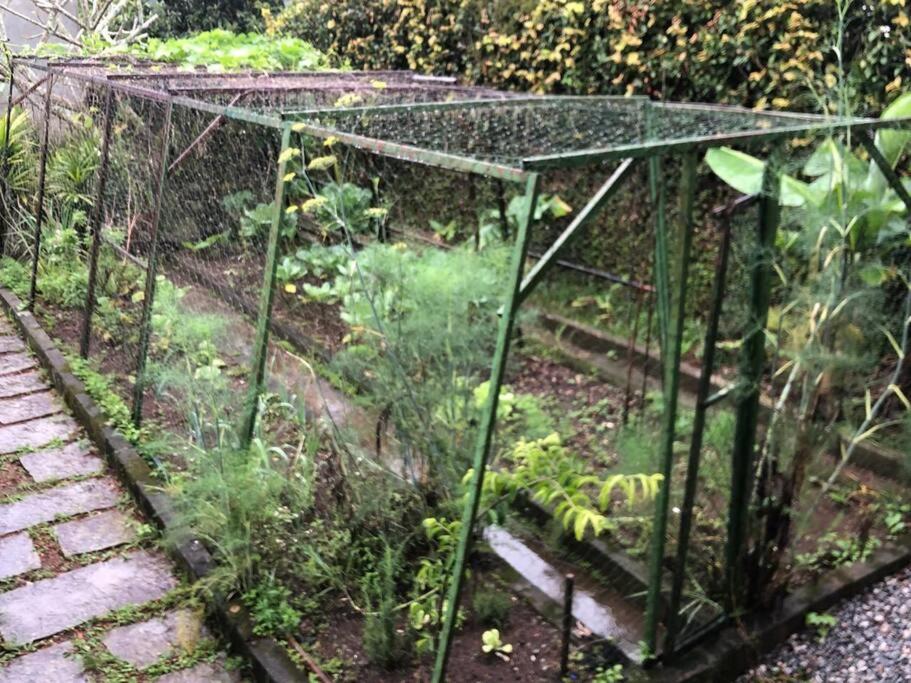 Casa com vista deslumbrante, natureza, conforto e toda plana!