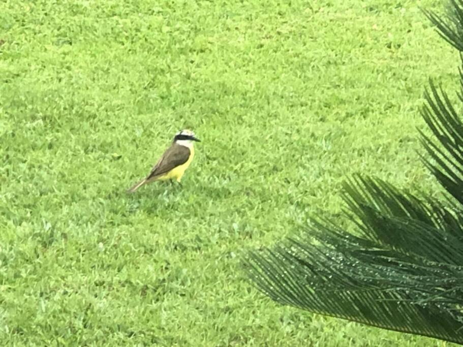 Casa com vista deslumbrante, natureza, conforto e toda plana!