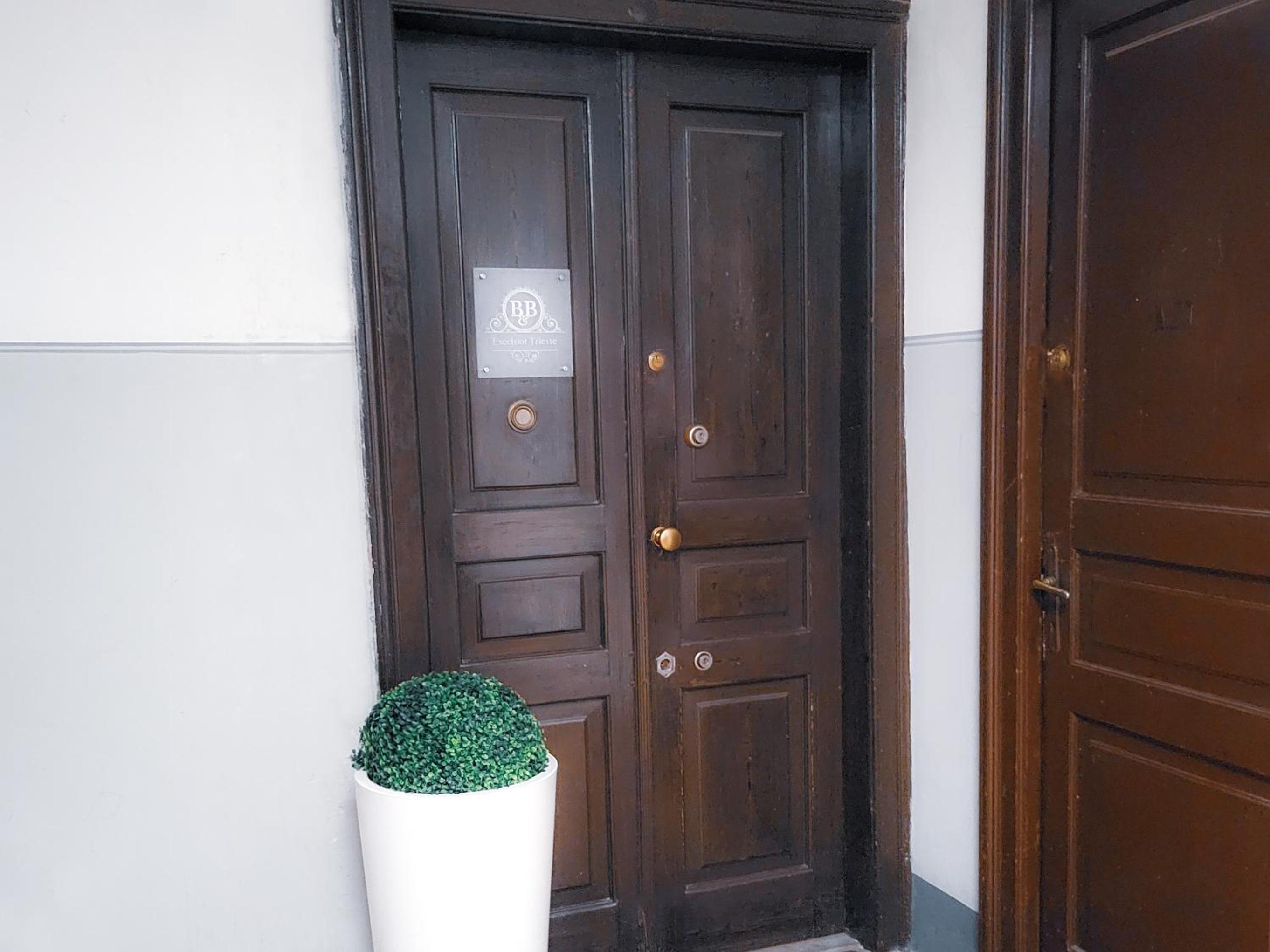 B&B Excelsior